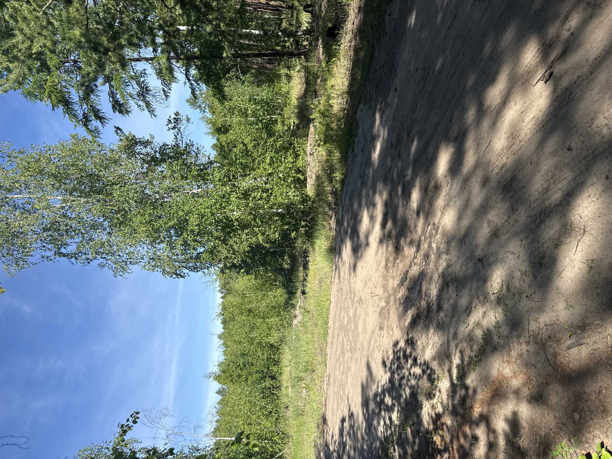 This is a vertical, sunlit image of a dirt path winding through a forest in Vladimirovka, Russia. The path is made of light brown dirt and is partially shaded by the dappled shadows of overhead trees. The forest is dense and green, with a variety of trees, including deciduous trees with light green leaves and taller, darker evergreen trees. The sky is a clear, bright blue with a few wispy white clouds. The overall impression is of a peaceful, natural setting on a sunny day. The time of day appears to be late morning or early afternoon, given the angle of the sun and the shadows. There are no people or man-made objects visible in the image, except for the path itself. The scene evokes a sense of tranquility and the simple beauty of nature.