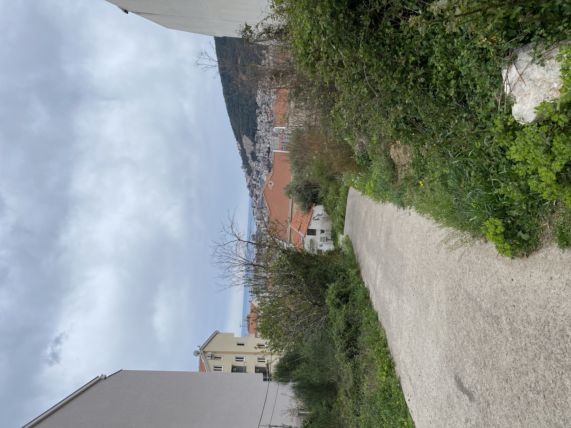 The image captures a downward view of a concrete path on a hillside in Budva, Montenegro. Lush green vegetation, including bushes and grass, lines the path's right side. To the left, buildings with orange tiled roofs, part of the urban landscape of Budva, are visible. In the distance, a tree-covered mountain slopes down toward the Adriatic Sea, which appears as a thin strip of blue under a cloudy sky. A light-colored building is partially visible on the left side of the frame. The overall perspective suggests the image was taken from an elevated position along the path.