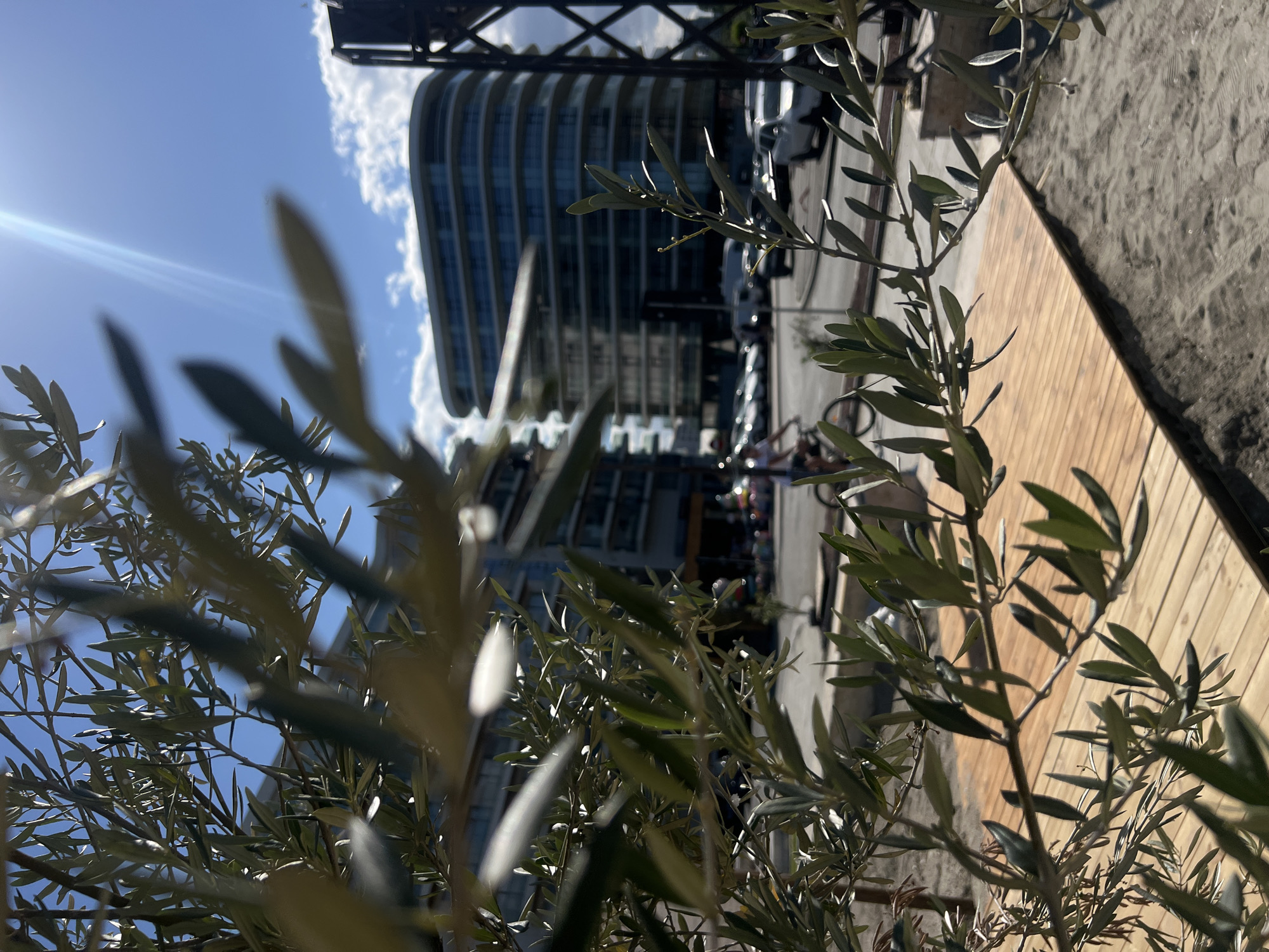 This media file is a vertical, full-shot photograph taken outdoors on a sunny day. The foreground is dominated by the blurred branches and leaves of an olive tree, creating a natural frame for the scene behind.
The main subject in the background is a modern, curved building with many windows, reflecting the bright sky. Parked cars are visible in front of the building, suggesting an urban or commercial setting. To the right of the building, a wooden deck or pathway runs diagonally across the frame, contrasting with the sandy or gravelly ground next to it. A metal structure, possibly part of a crane or industrial equipment, is visible at the top left of the image. The sky is blue with scattered white clouds, and a bright sunbeam is visible, indicating it is daytime.
No people are clearly discernible in the image. The overall impression is one of a bright, modern outdoor environment, possibly a public space or a commercial area near a waterfront or park, given the presence of the deck and sand. The time of day appears to be late morning or early afternoon. There is no visible text in the image. The image is a snapshot of an outdoor scene, with a focus on the interplay of natural elements (olive tree) and modern architecture.