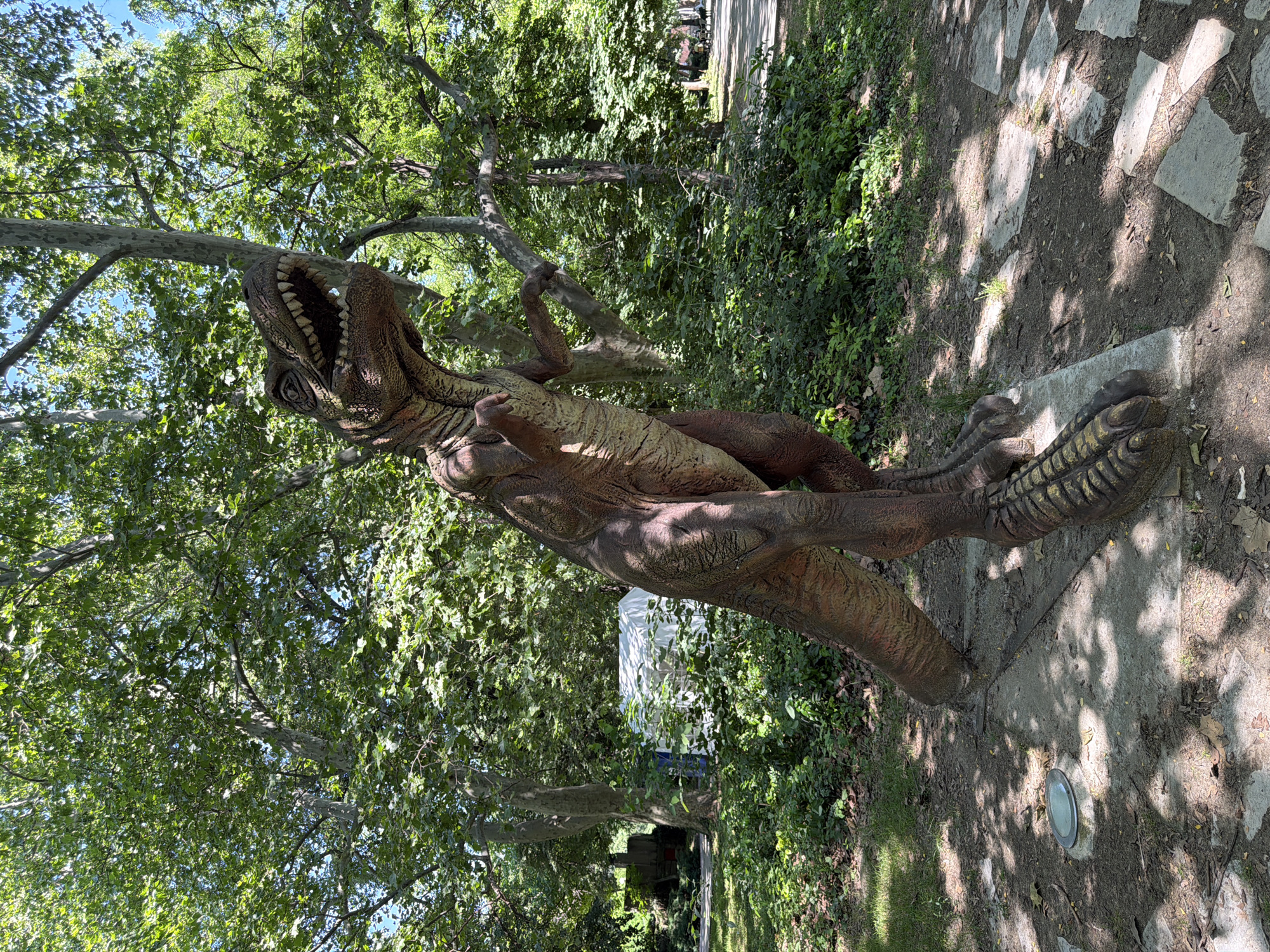 A life-sized dinosaur statue, resembling a Tyrannosaurus Rex, stands prominently in a park setting. The statue is a reddish-brown color with lighter yellow accents on its underside and legs. It is positioned on a concrete base surrounded by dirt and scattered leaves. In the background, lush green trees with dappled sunlight create a natural environment. Further back, a white tent is visible amidst dense foliage, and a paved path with people walking and sitting can be seen in the distance. The overall scene suggests an outdoor attraction or exhibit within a park, likely designed for public enjoyment. The location is identified as Pazardzhik, Bulgaria.