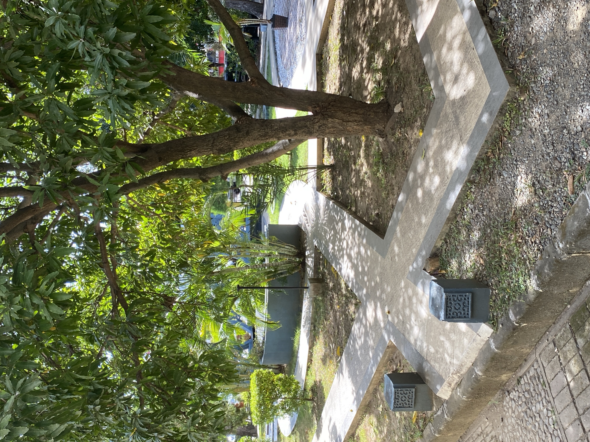 An outdoor scene depicts a paved pathway winding through a park-like area with a large tree at its center. The pathway, constructed from light-colored concrete with darker gray borders, is shaded by the dense foliage of the tree. To the left of the pathway, two dark gray, cube-shaped planters with decorative cutouts are visible. In the background, a curved, dark gray planter filled with palm trees and other greenery is present. Beyond that, hints of more trees and some buildings can be seen. The ground is covered with gravel and sparse grass. The overall lighting suggests it is daytime, with dappled sunlight filtering through the leaves. There are no people visible in the image.