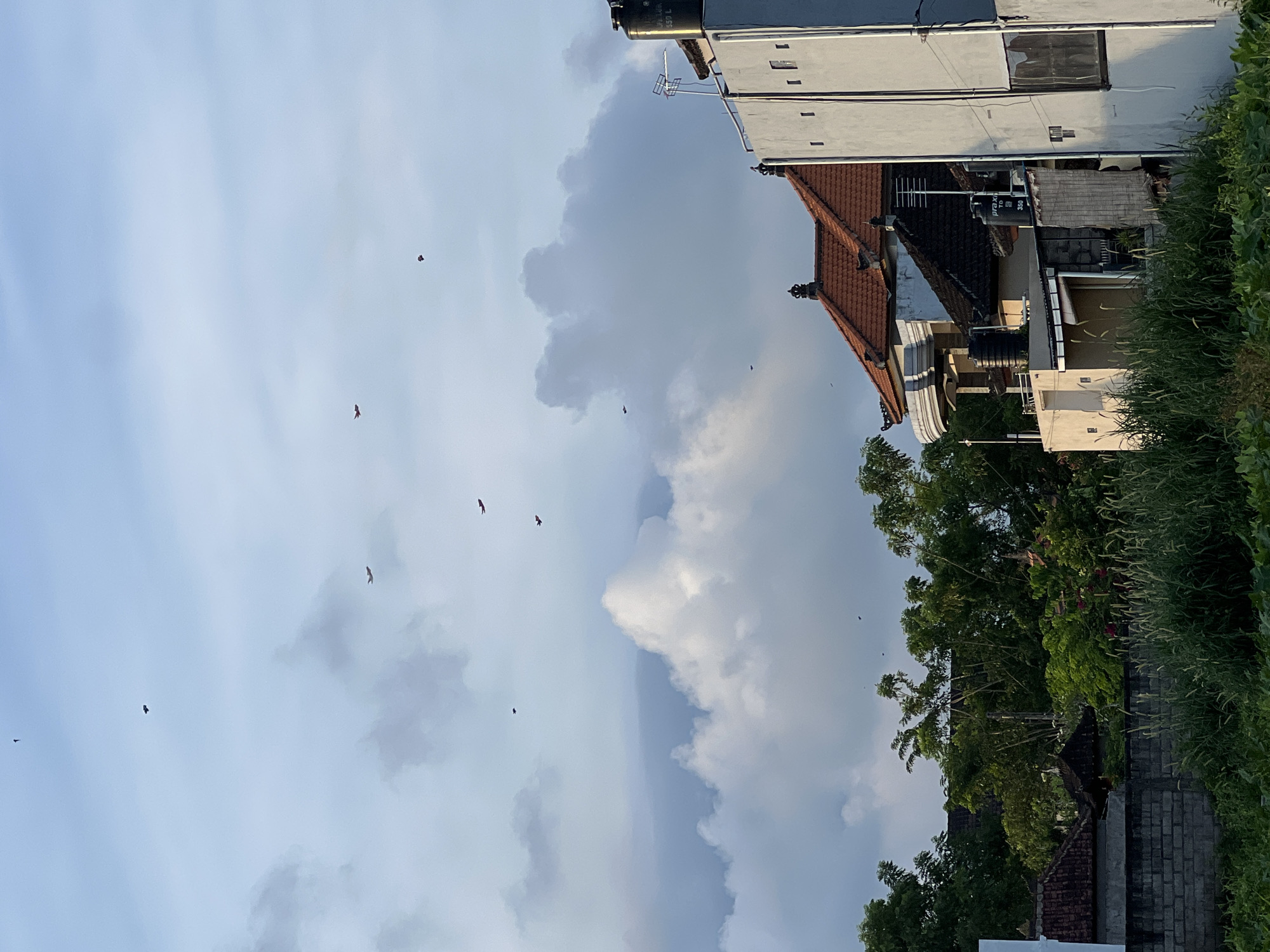 The image depicts a daytime scene in Sukawati, Indonesia, featuring a partially cloudy sky. Several birds are scattered across the sky. In the background, there are buildings with red tiled roofs and white exteriors. Vegetation, including trees and grass, is visible on the right side of the image. The photo appears to be taken from a low angle, looking upwards.