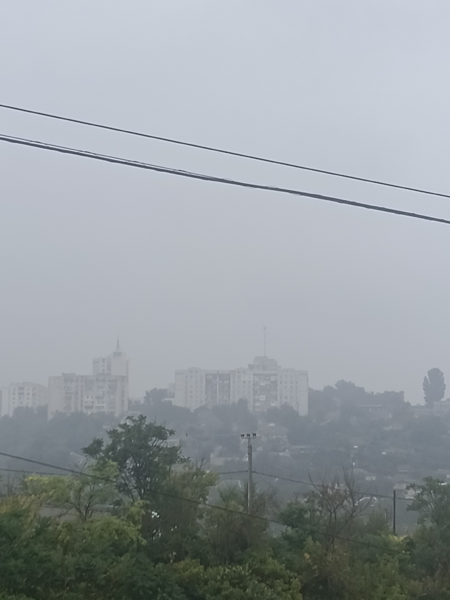 The image depicts a hazy, overcast view of Rybnitsa, Moldova, showcasing a cluster of apartment buildings in the distance. Power lines stretch across the foreground, partially obscuring the view of the city. The buildings appear to be constructed from concrete and have multiple stories, with some featuring balconies. The surrounding landscape is characterized by trees and vegetation, with a few smaller houses visible nestled amongst the greenery. The overall atmosphere is subdued due to the cloudy weather.