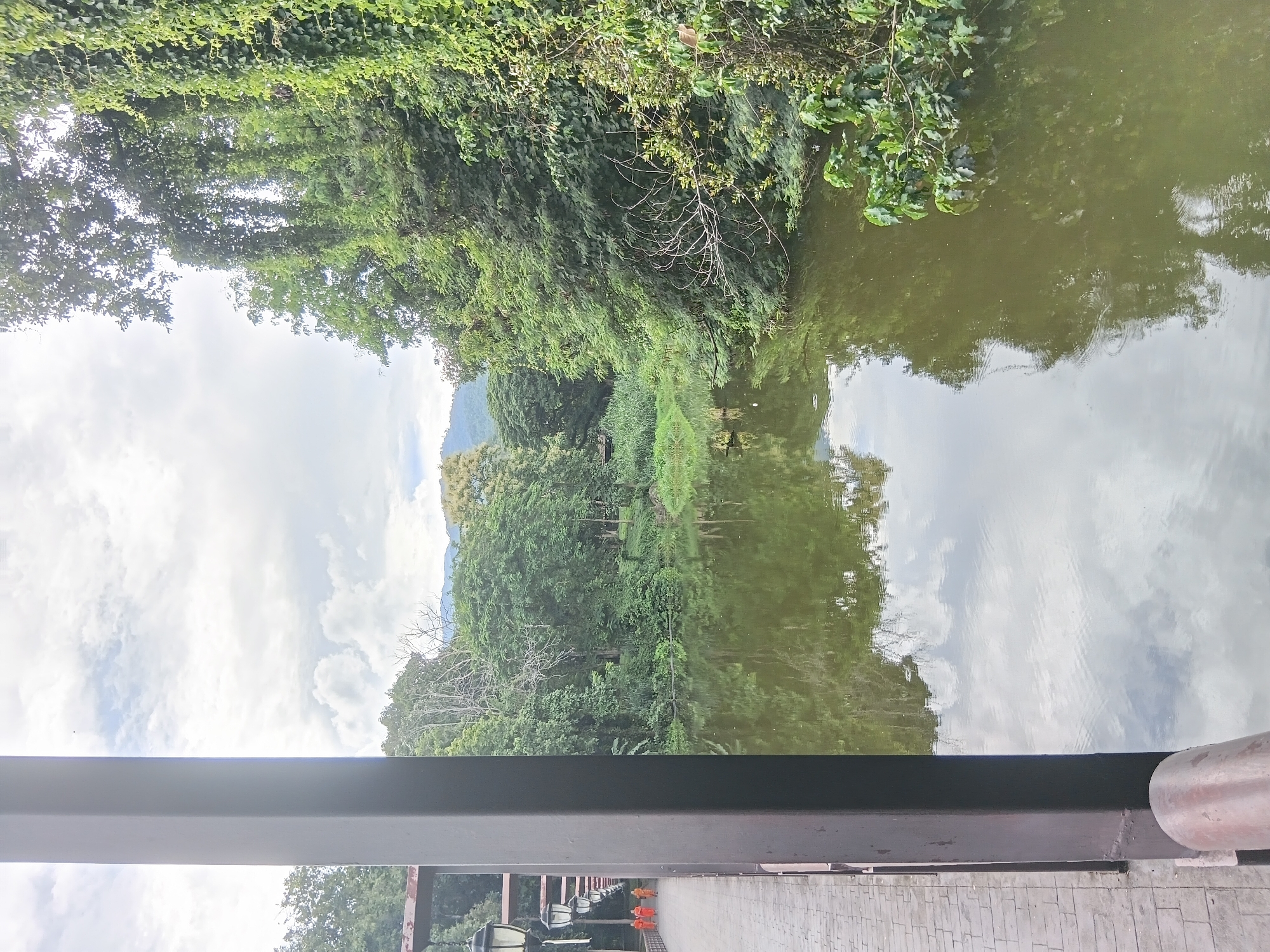 A serene riverside scene in Chiang Mai City Municipality, Thailand, unfolds with a calm, reflective body of water bordering a lush green embankment. The water mirrors the cloudy sky and the dense foliage that lines its banks, creating a tranquil atmosphere. On the left side of the image, a paved walkway with lampposts runs parallel to the river, suggesting it is part of a park or scenic path. Several figures, possibly monks in orange robes, are walking along this path, their presence adding a touch of human activity to the natural landscape. The walkway is bordered by a dark railing and a thick, vertical support post, which partially obscures the view of the river. The background features a variety of trees, some of which are covered in vibrant green vines, and distant hills fading into the horizon, under a sky filled with soft, white clouds.