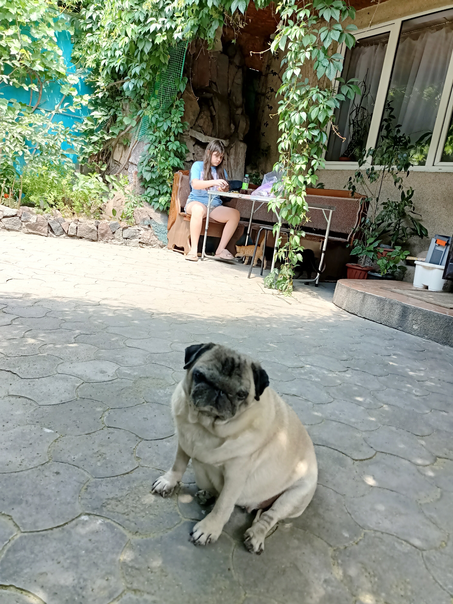 A young person sits at a table outdoors, surrounded by lush green foliage and a stone wall. They are dressed in casual summer clothing, and their attention appears to be focused on an object on the table. Beside them, a pug sits on a stone patio, looking towards the viewer. The scene suggests a relaxed, domestic setting, possibly a backyard or garden in a city like Almaty, Kazakhstan, given the architecture and plant life.