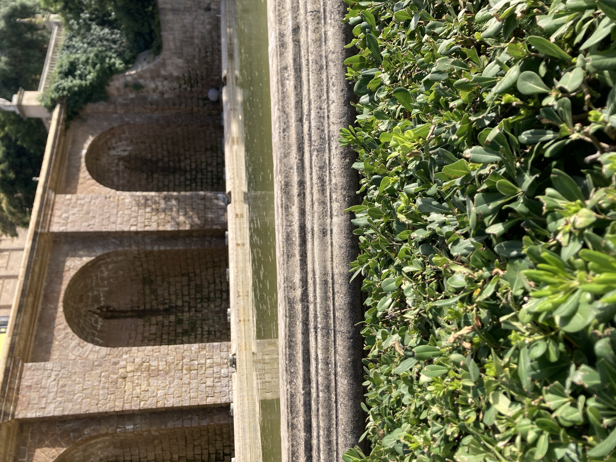 The image depicts a section of the gardens above the Fossar de les Moreres in Barcelona, Spain. In the foreground, a dense arrangement of dark green foliage forms a hedge, with sunlight illuminating the upper leaves. Behind the hedge are tiered stone steps, weathered and textured. Beyond the steps, a shallow body of water, likely a pond or fountain, reflects the sunlight and the architecture. In the background, a rustic stone wall features several arched alcoves, characteristic of the historical architecture found in Barcelona. Greenery, including ivy and trees, grows on and around the wall and structures, indicating a well-established garden setting. The sky is visible in the upper right corner, showing clear weather.