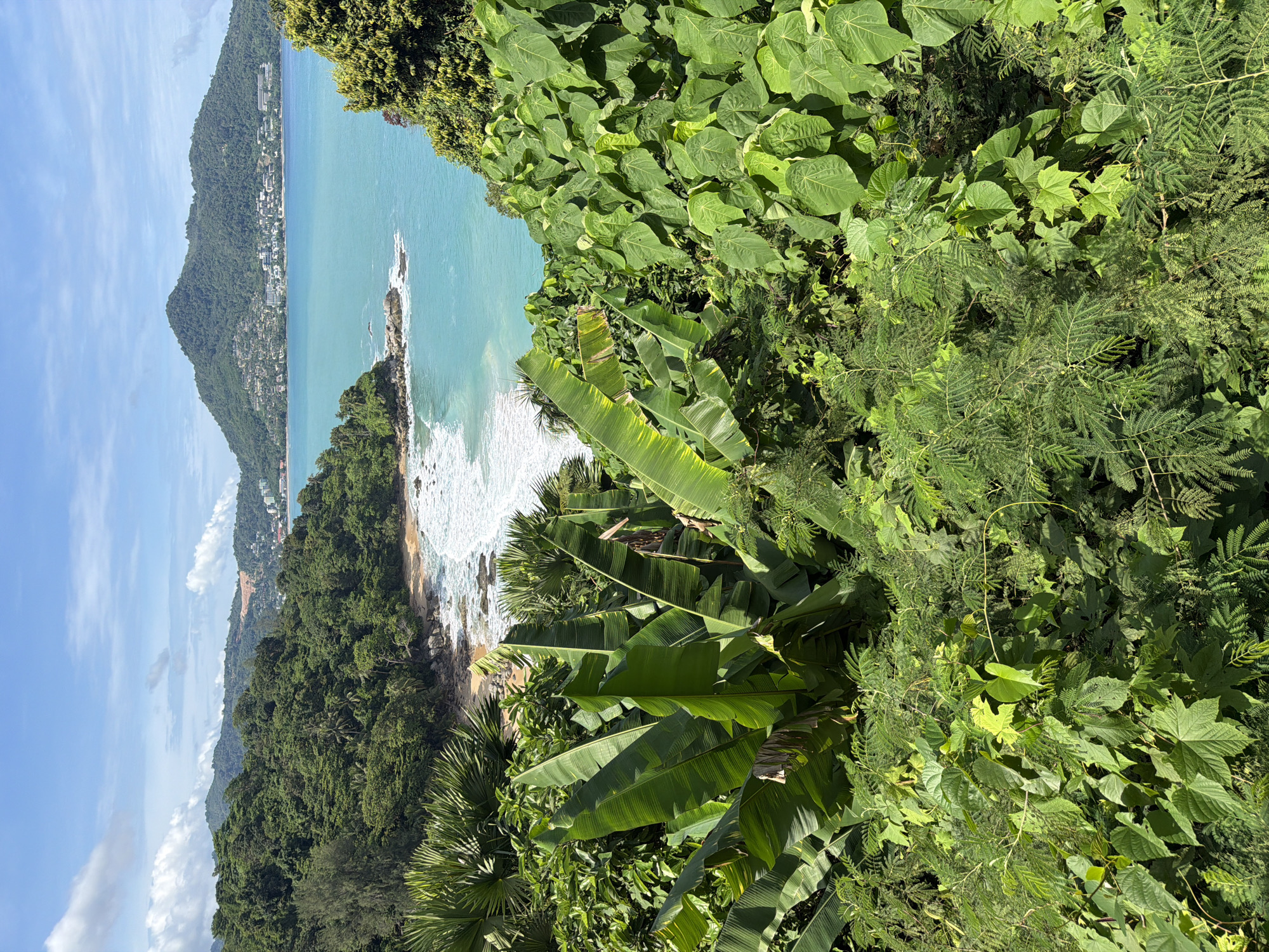 The image shows a panoramic view of a tropical coastline, likely in or near Ban Bang Thao, Thailand, with lush green vegetation in the foreground and middle ground. The foreground is dominated by large, vibrant green banana leaves and other dense foliage. Beyond this, a small sandy beach is visible, with waves crashing onto the shore and rocky outcrops. The sea is a clear turquoise color. In the background, a large, tree-covered mountain rises from the coast, with buildings nestled on its slopes and along the shoreline. The sky above is blue with scattered white clouds. There are no people or visible human activity in the frame, suggesting a natural, unspoiled landscape.