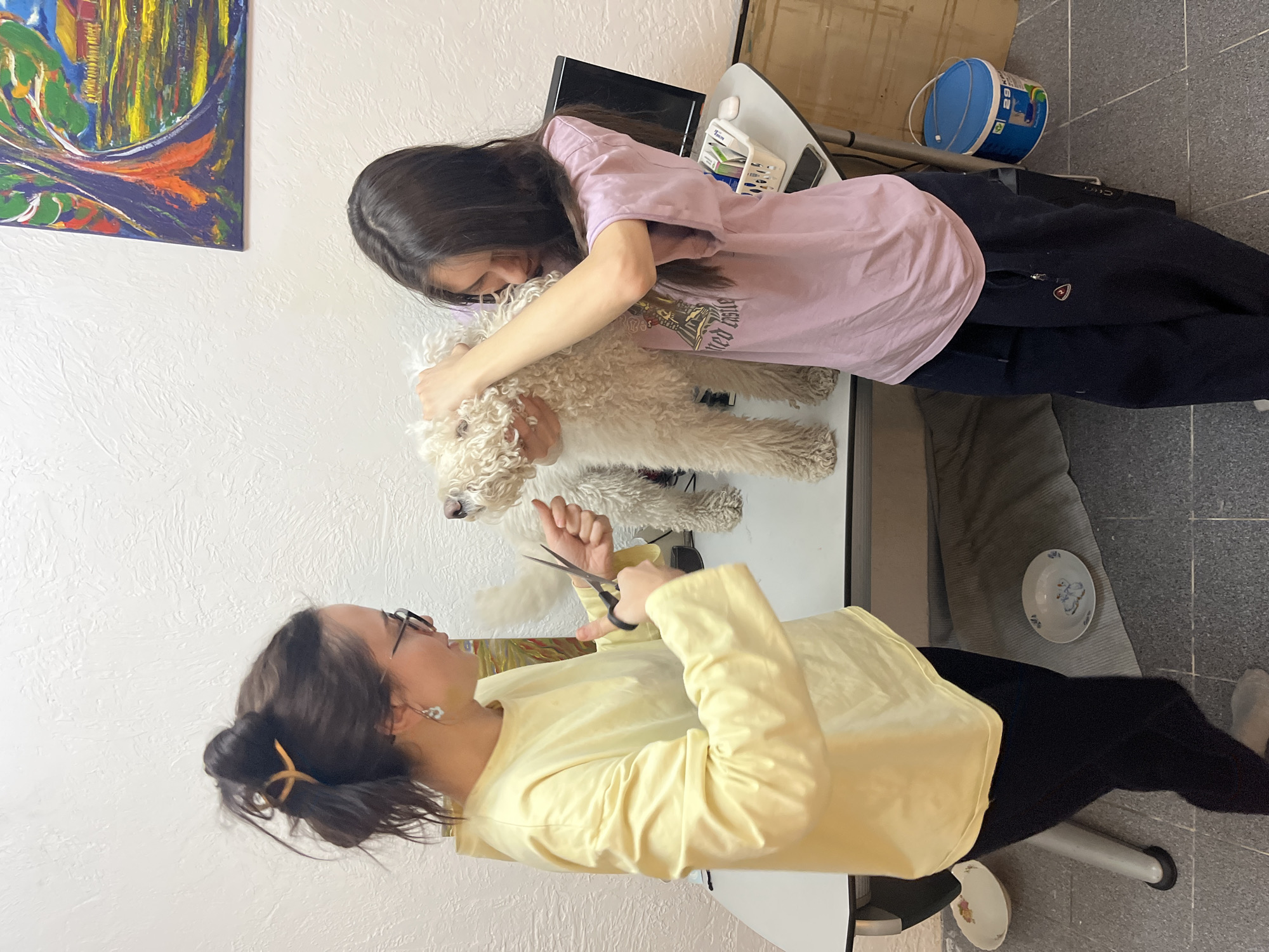 Two women are grooming a white dog on a white table. One woman, wearing a pink t-shirt and black pants, is holding the dog still. The other woman, wearing a yellow long-sleeved shirt and black pants, is cutting the dog's fur with scissors. The scene takes place indoors, with a painting on the wall, a TV on a side table, and a gray tiled floor.