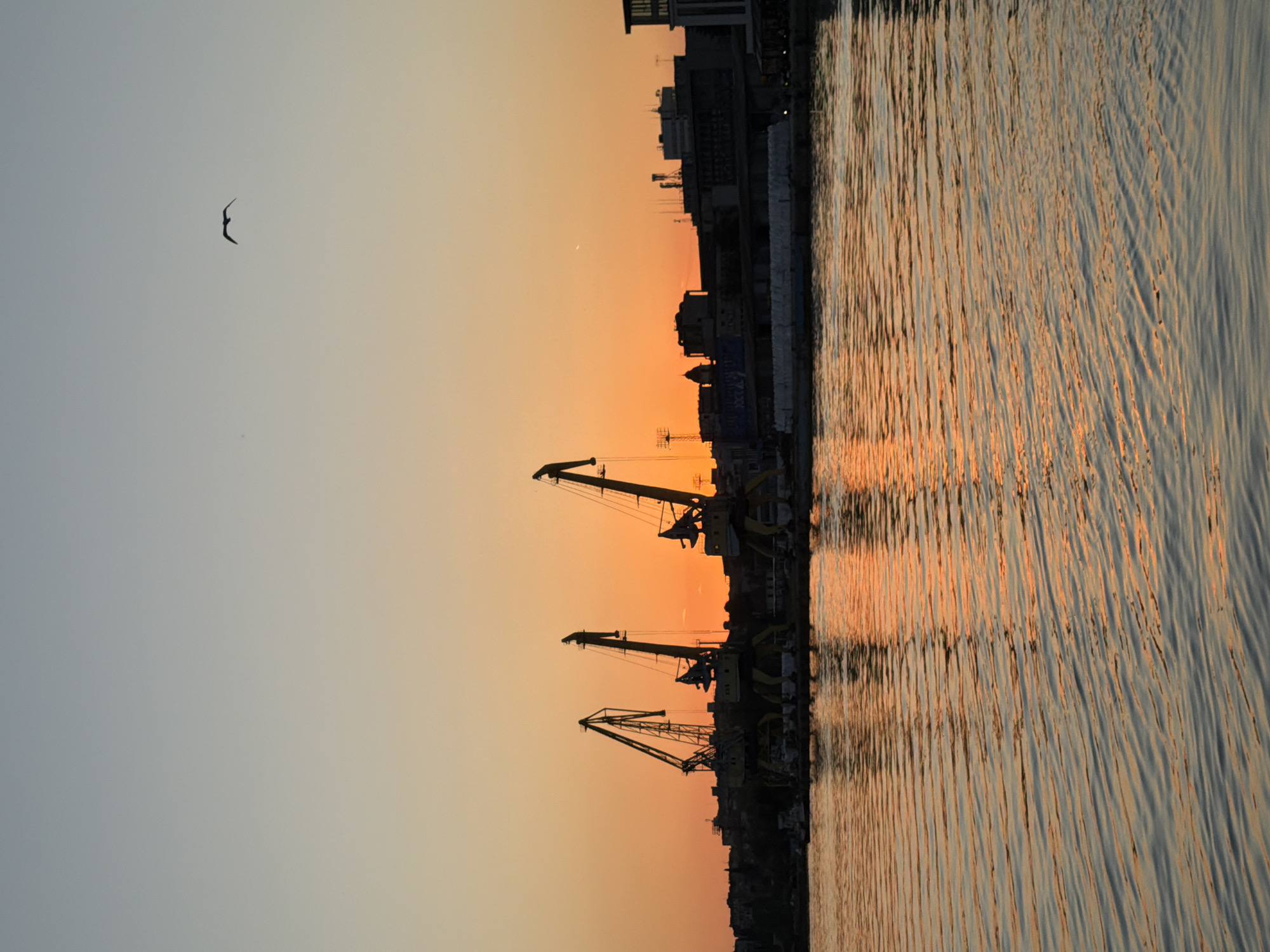 The image depicts a coastal scene at sunset in Burgas, Bulgaria. The horizon line is divided between the sky and the water. The sky exhibits a gradient from light gray to orange. A single bird is silhouetted against the sky in the upper left. The water surface is rippled, with reflections of the sunset colors. Along the coastline are dark silhouettes of port cranes and city buildings, suggesting a port or industrial area. A sliver of the moon is visible near the horizon.