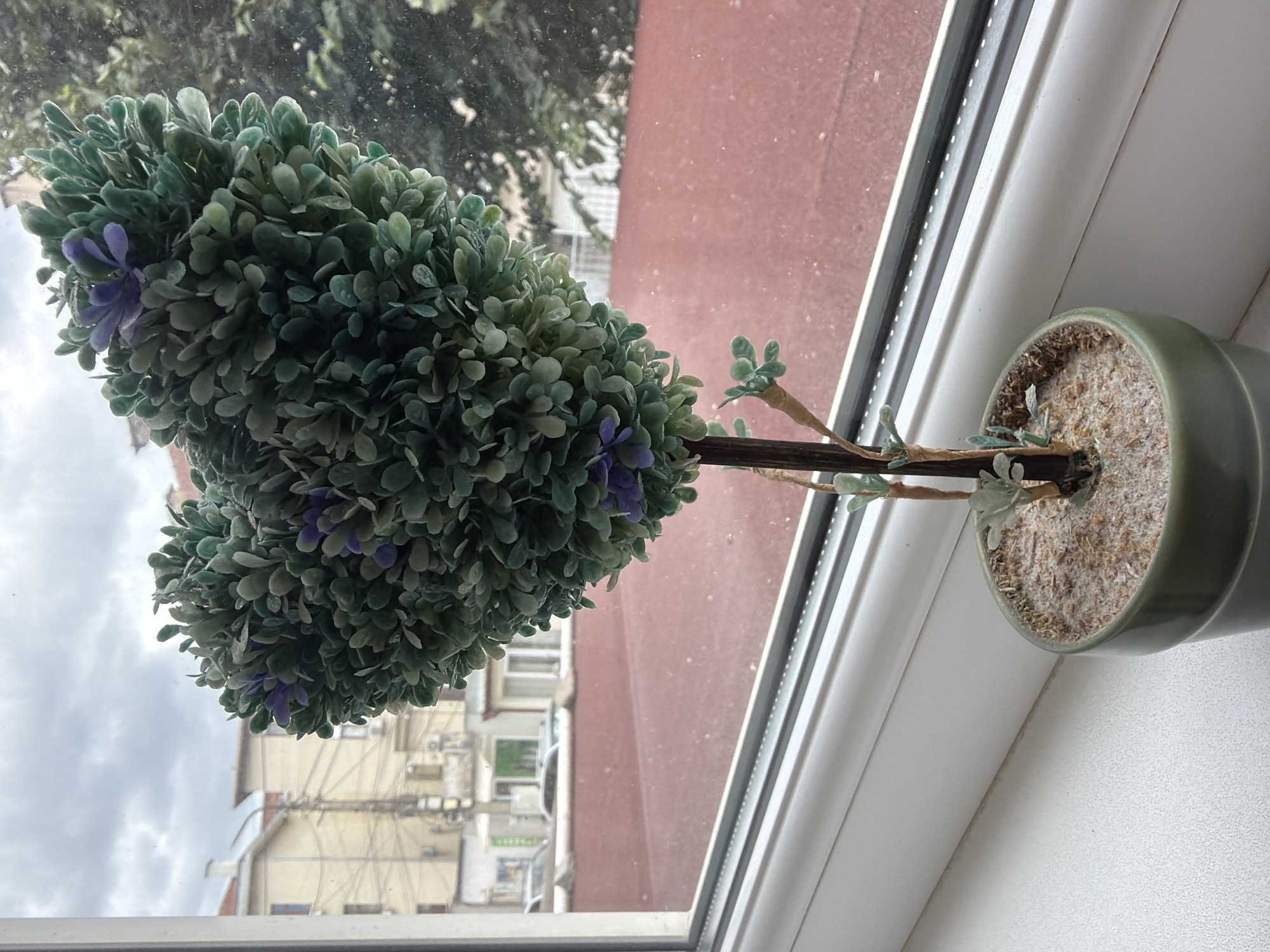 This is a medium shot, eye-level, indoor photograph of a decorative heart-shaped topiary plant with small purple accents, situated on a white windowsill. The plant is in a green pot filled with what appears to be soil and wood shavings. Through the window, a reddish-brown roof is visible, beyond which are buildings and a street scene. The sky is overcast with grey clouds. The overall atmosphere is calm and the lighting is diffused. The scene is likely located in Pazardzhik, Bulgaria, given the architectural style of the buildings visible through the window, which appear consistent with urban Bulgarian architecture.