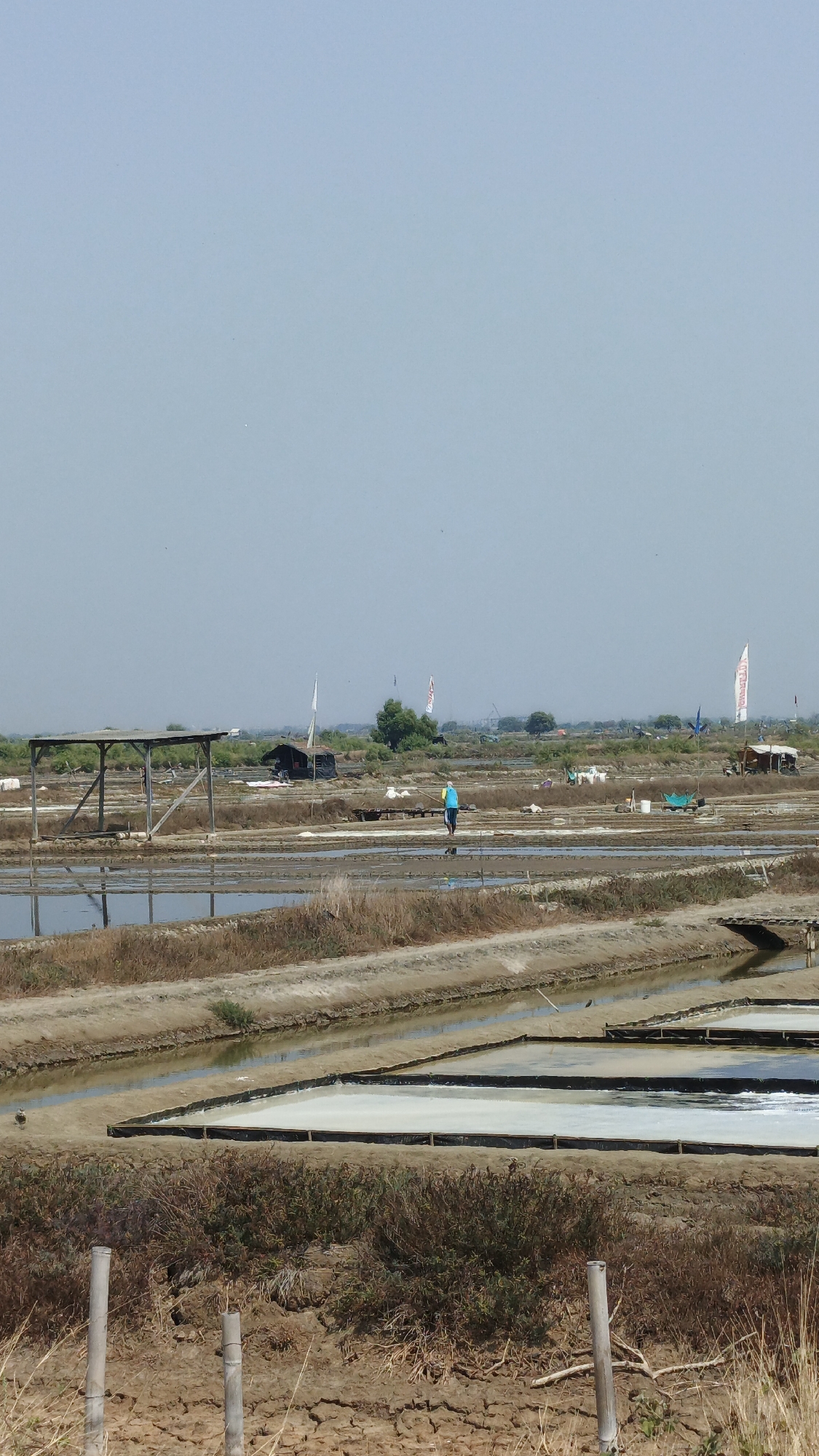 The image shows a salt field in Krimun, Indonesia. A person wearing a blue shirt and dark pants is walking across the field. Several structures, including sheds and a wooden frame, are visible in the background. The field is divided into rectangular sections, some of which contain water and others appear to be drying. The sky is clear and pale blue, and the overall landscape is dry and barren with sparse vegetation. The scene suggests a day of salt harvesting or processing.