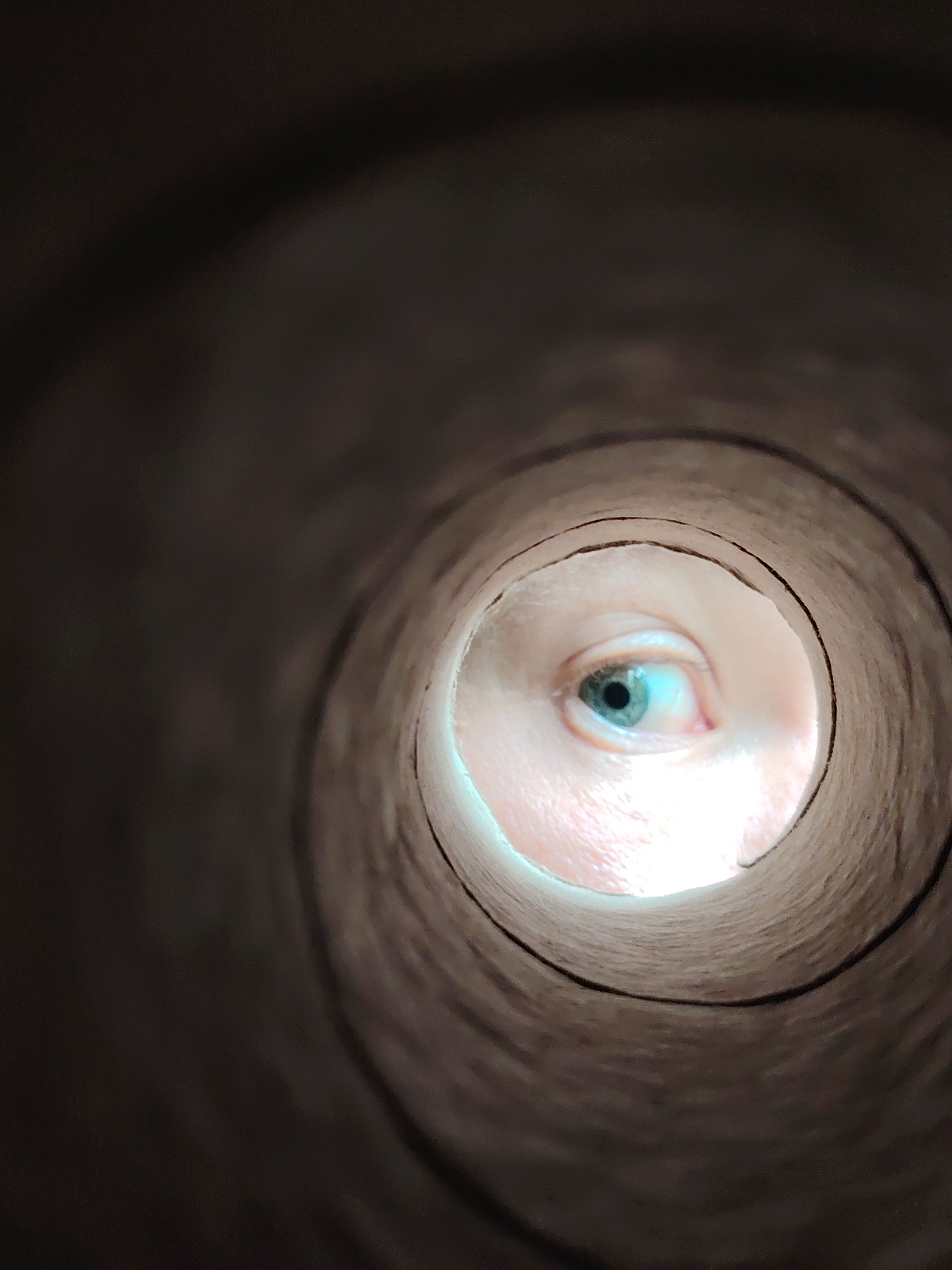 The image is a close-up, inside view of a cardboard tube, likely from a roll of toilet paper or paper towels. A human eye, with a light blue iris and visible eyelashes, is peering through the opening at the far end of the tube. The inside of the tube is textured and appears to be made of compressed paper. The exterior of the tube, visible in the foreground, is darker and out of focus, suggesting a narrow depth of field. There are no discernible elements in the image that would indicate a specific location in Chaikovsky, Russia.