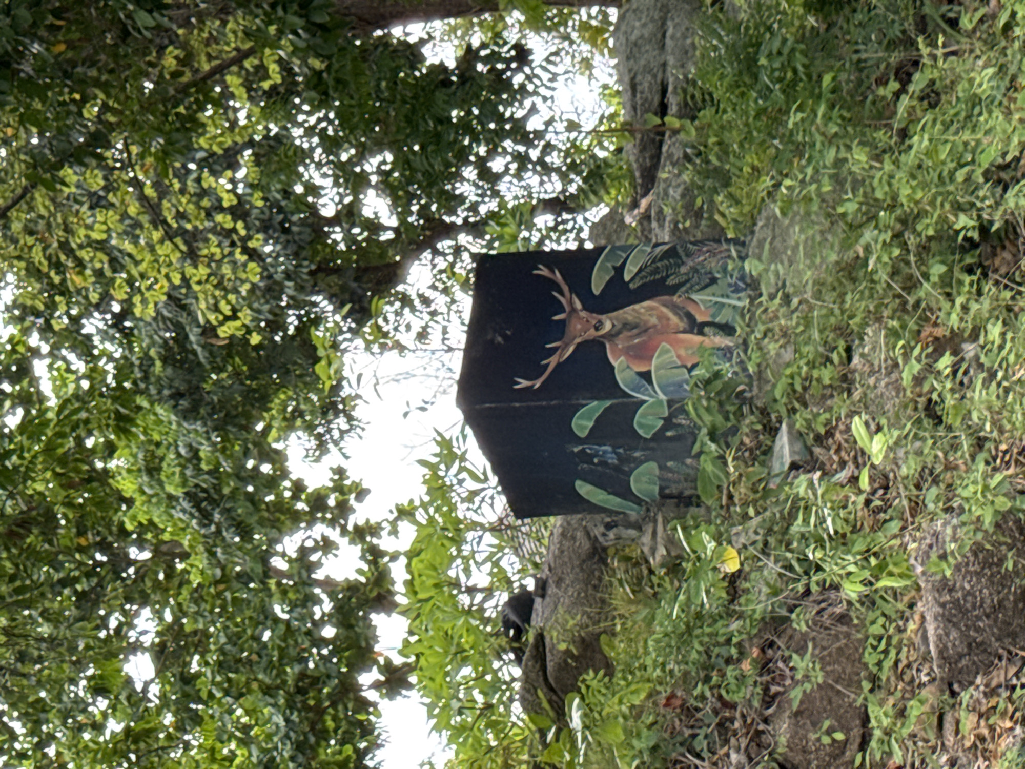 This image shows a black, cube-shaped structure painted with a scene of a deer in a jungle-like setting. The structure is situated outdoors on a rocky, overgrown hillside. The deer is depicted with large antlers and is facing towards the viewer. Large, green leaves are painted around the deer. The surrounding environment is lush with green foliage, trees, and rocks. The sky is visible through the leaves of the trees, appearing bright and possibly overcast. No people are visible in the image. The scene suggests a natural or semi-natural setting, possibly part of a park, trail, or roadside attraction in Ko Pha-ngan District, Thailand.