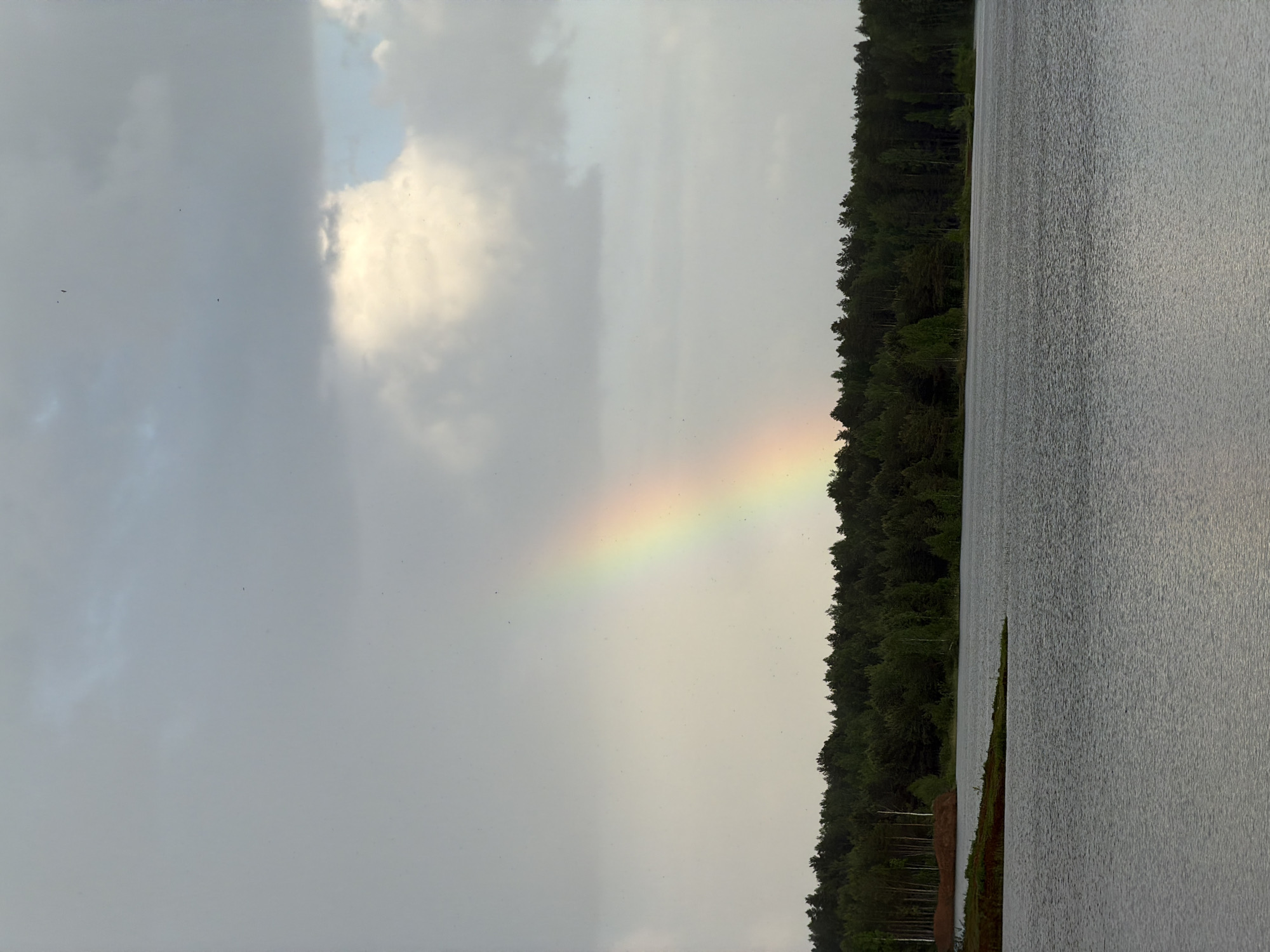 The image shows a landscape with a body of water to the right and a forest lining the edge of the water. In the sky, there's a rainbow stretching across the frame. The sky is mostly overcast with gray clouds. The trees are predominantly green. The water appears calm and gray. Location details (city of Kanifol'nyi, Russia) are not evident from the image.