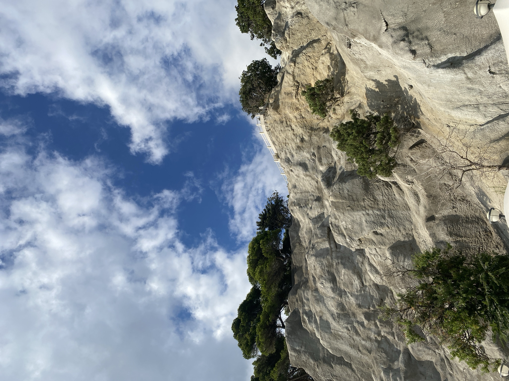 This is a low-angle, full-shot photograph of a steep, rocky cliff face with sparse vegetation under a bright blue sky with scattered white clouds. The cliff is a light gray color with visible striations and textured surfaces, suggesting erosion. Several evergreen trees and some bare, skeletal trees are growing from the rocky slopes. At the top of the cliff, a white railing or fence runs along a path, with more trees visible behind it. The lighting indicates it is daytime, with shadows cast on the rock face. The location is identified as Koreiz, Ukraine.