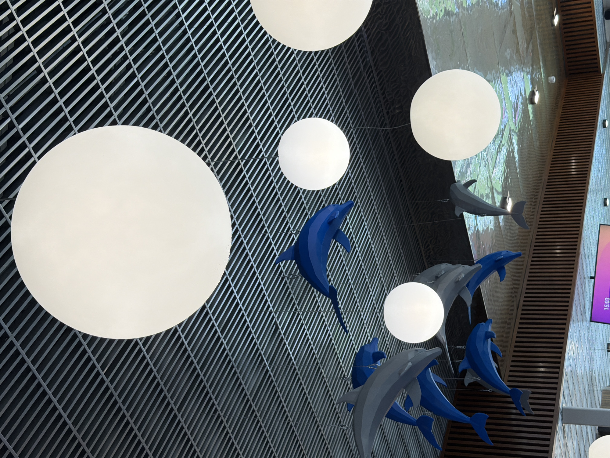 The image shows a ceiling with a metal grid structure. Hanging from the ceiling are several large, spherical white lights and multiple decorative blue and gray dolphins. The dolphins appear to be made of a solid material and are suspended at different heights and angles, giving the impression of swimming. The overall aesthetic suggests a playful and aquatic theme, possibly for a public space like a shopping mall, aquarium, or entertainment venue. The background shows a wooden paneled wall and some reflective surfaces. There is no indication of the city of Votkinsk, Russia, in the image itself.