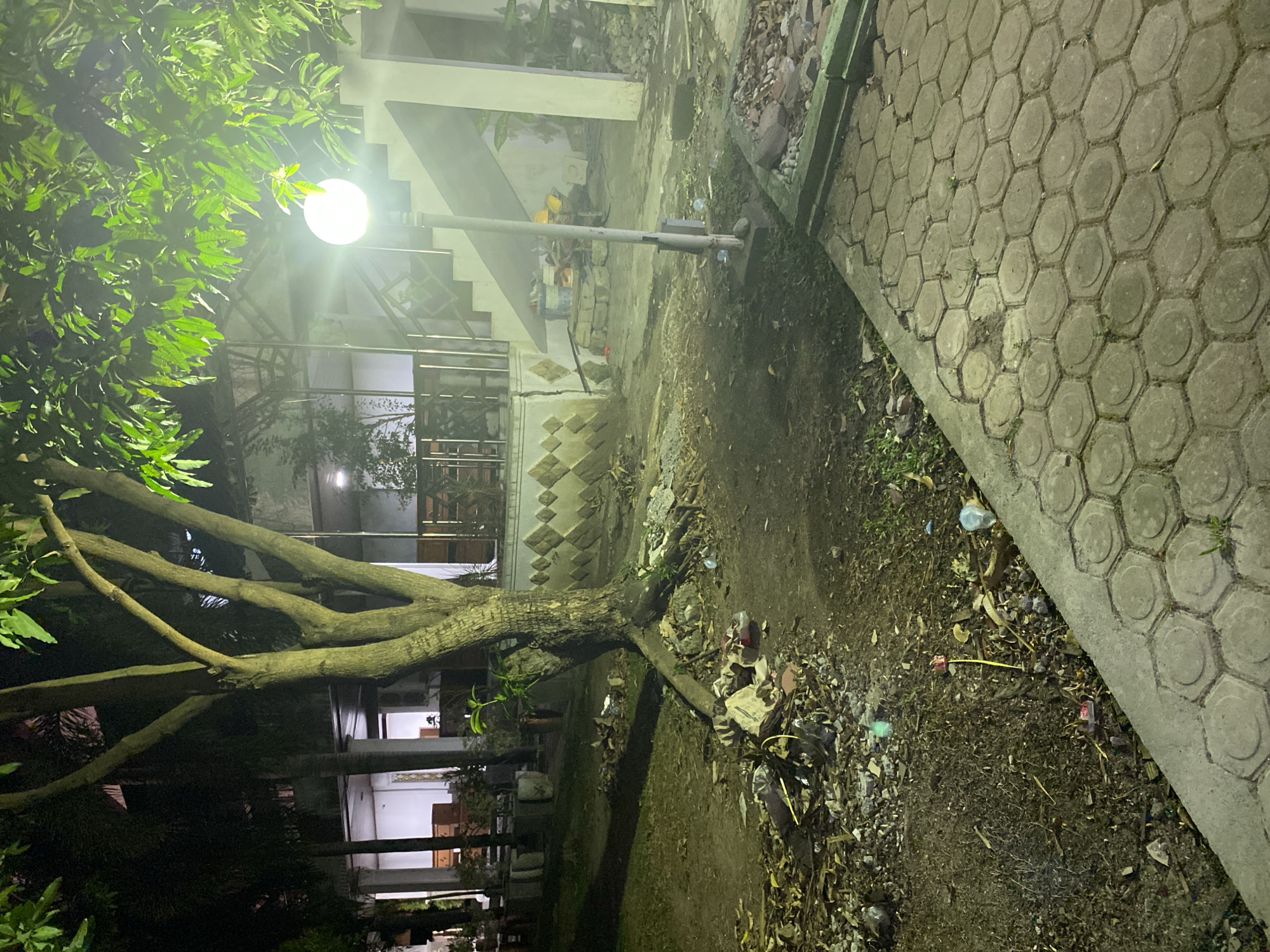The image depicts an outdoor scene at night, illuminated by a street lamp. In the foreground, a paved pathway made of hexagonal concrete blocks runs diagonally from the bottom right corner upwards and to the left. To the left of the pathway is a patch of uneven ground covered in dirt, dry leaves, and debris, with some scattered trash. A large tree with exposed roots stands prominently in the mid-ground, casting a shadow to its left. Beyond the tree and the debris-strewn area, there is a building with a covered walkway and an outdoor staircase leading up. Various potted plants are visible near the building's entrance. Construction materials, including bricks and buckets, are present near the base of the stairs. The overall impression is one of a somewhat neglected outdoor area, possibly a park or the grounds of a building, with litter and disarray.