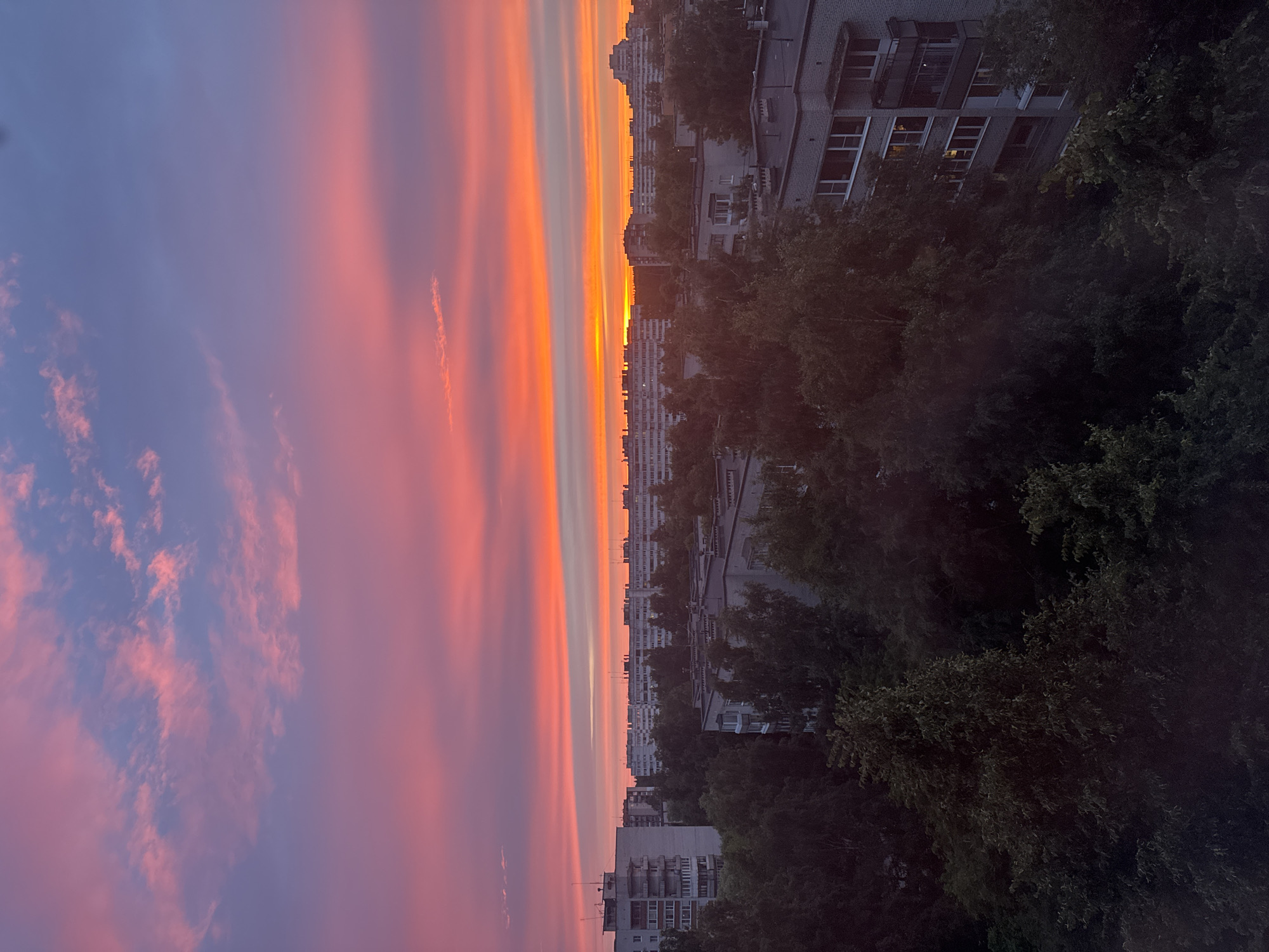 The image depicts a cityscape at dusk, likely in Sosnoviy Bor, Russia. The sky is dramatically illuminated with a vibrant sunset, featuring a gradient of colors from deep purple and pink at the top to bright orange and yellow near the horizon. Several multi-story apartment buildings are visible, some with balconies, and numerous trees with dense foliage dot the foreground and midground, obscuring some of the lower levels of the buildings. The architectural style of the buildings suggests a Soviet-era urban development. No people or specific actions are discernible in the scene. The overall impression is one of a peaceful, albeit somewhat dense, urban environment bathed in the warm light of sunset.