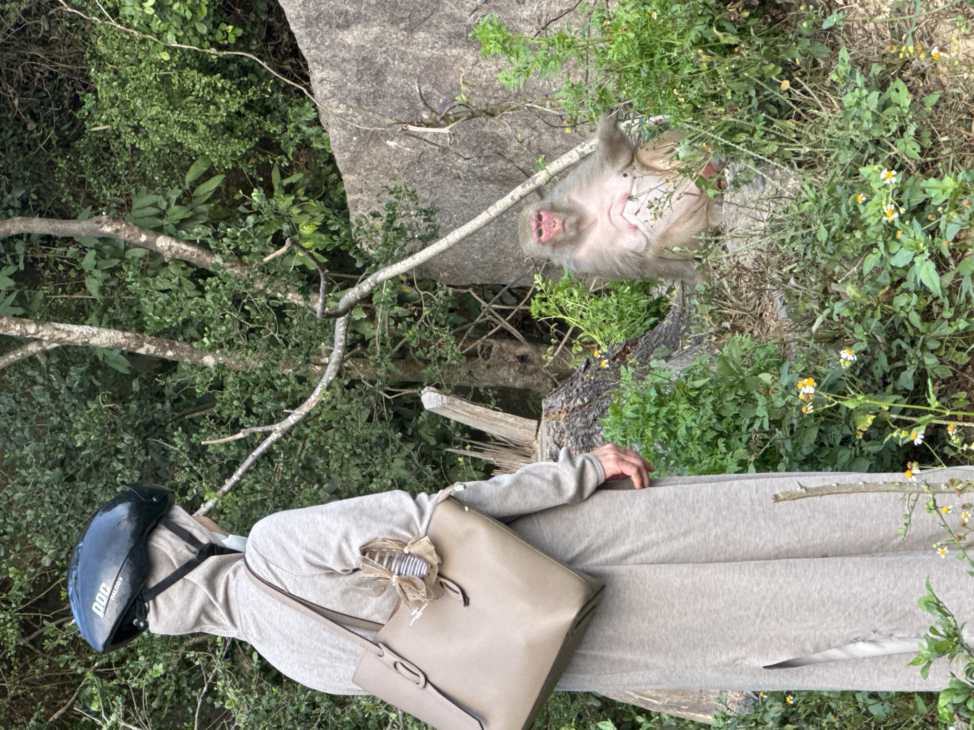 A person wearing a gray hooded outfit and a black POC helmet is standing near foliage. The person has a light-tan colored tote bag. A monkey is lying in the bushes above the person. The location is likely the Son Tra Mountain in Đà Nẵng, Vietnam.