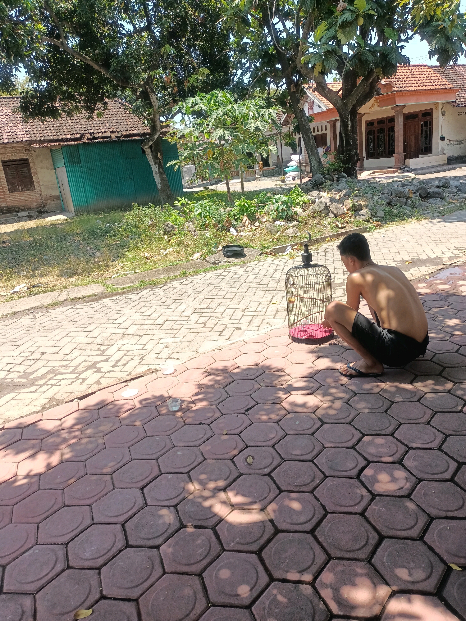 Memory