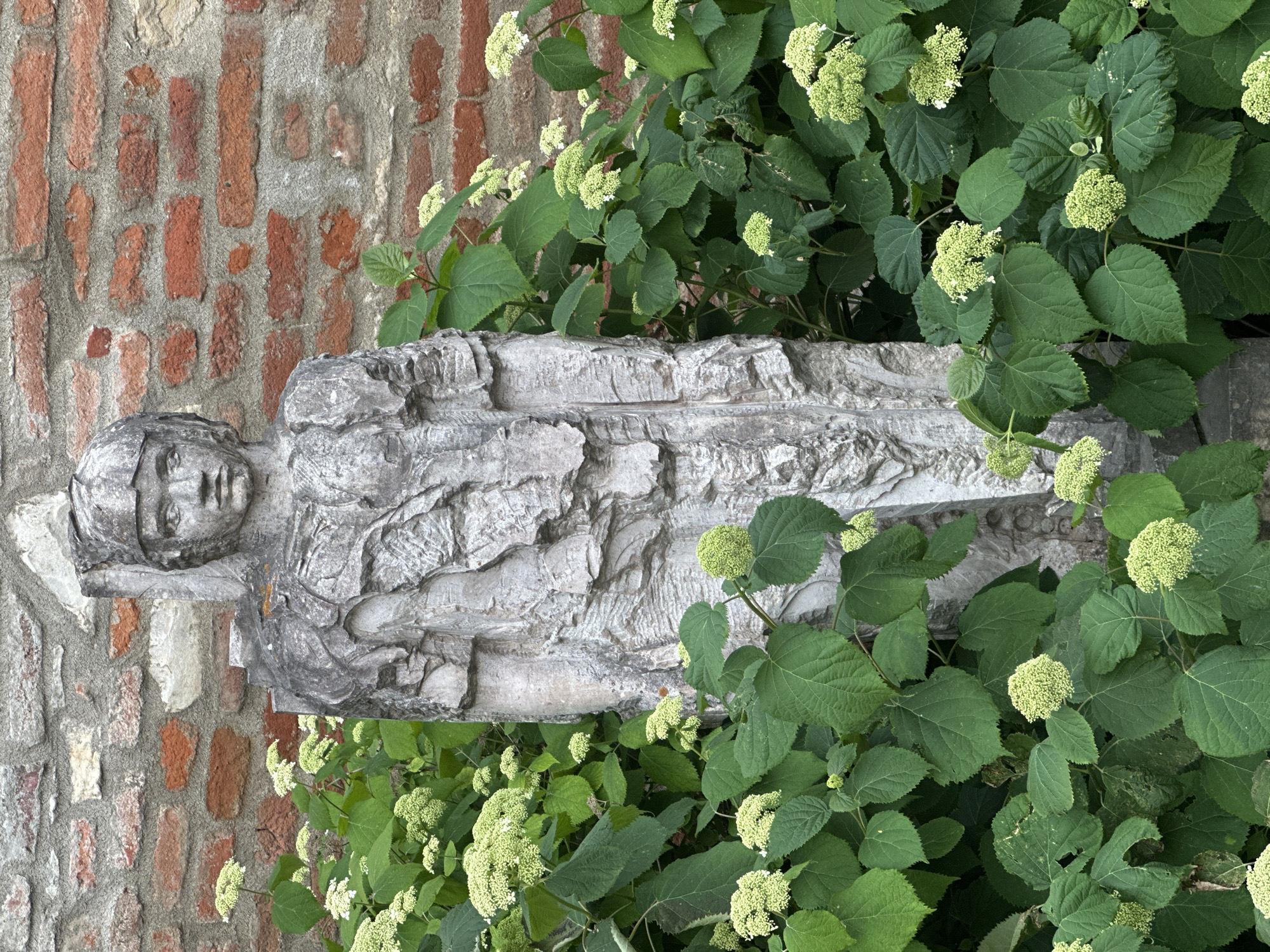 A weathered, gray stone statue of a person stands amidst lush green foliage with small, pale green flower clusters. The statue is positioned in front of a rough, textured brick wall. The statue's features are somewhat eroded, but it appears to be wearing a headdress or helmet. The overall scene suggests an outdoor setting, possibly a garden or courtyard.