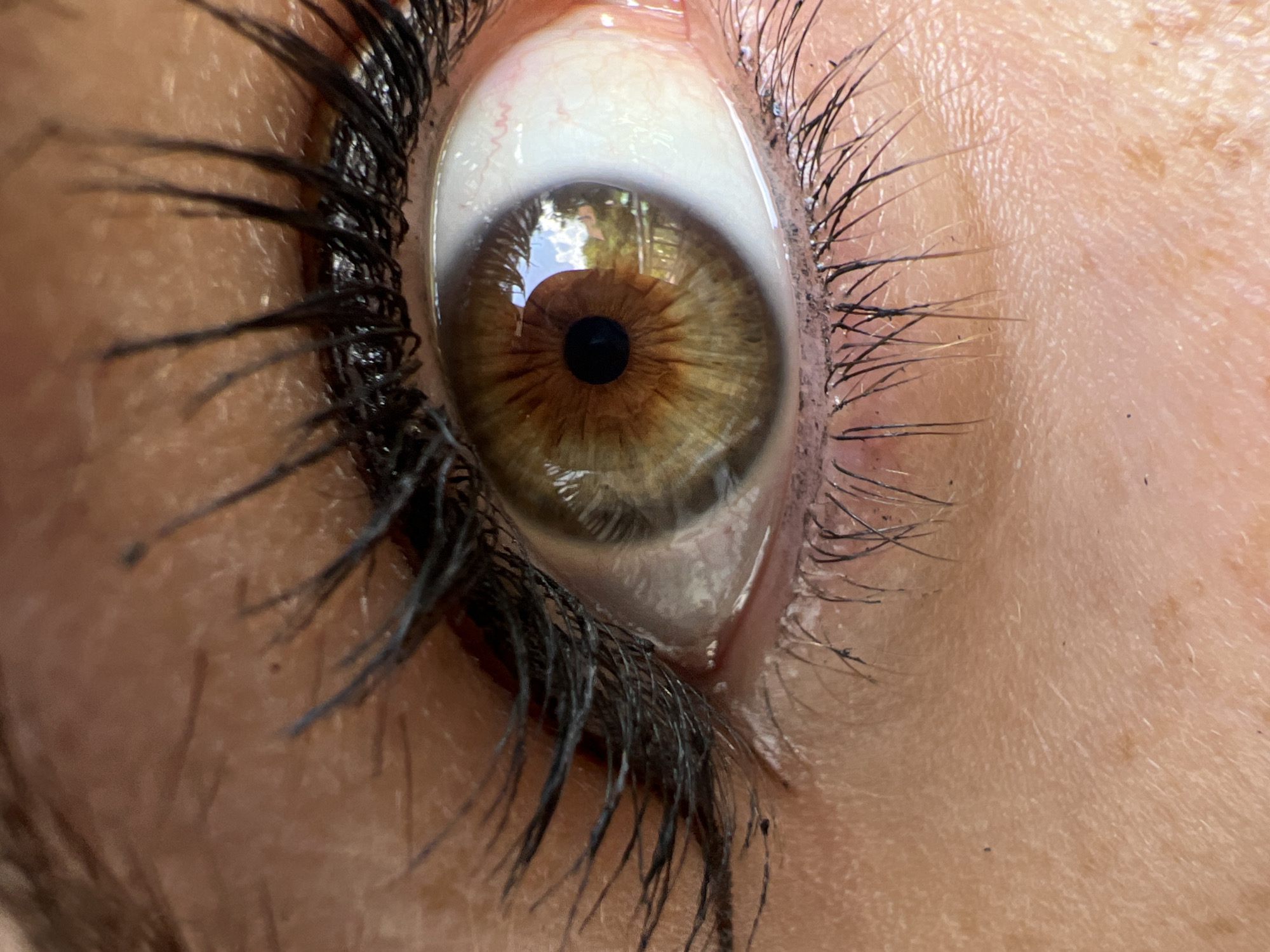 The image is a close-up macro shot of a human eye, likely a female based on the presence of mascara on the eyelashes. The eye is hazel, with a mixture of green and brown tones in the iris. The pupil is dark and central. Reflections of an outdoor environment, possibly a park or a garden with trees and a fence, are visible in the iris. The surrounding skin appears to be lightly tanned and shows some texture. The eyelashes are dark and long, with some clumping from the mascara. The white of the eye (sclera) is visible and shows some fine blood vessels. The image does not contain any elements that would allow for the determination of a specific location in Sofia, Bulgaria.