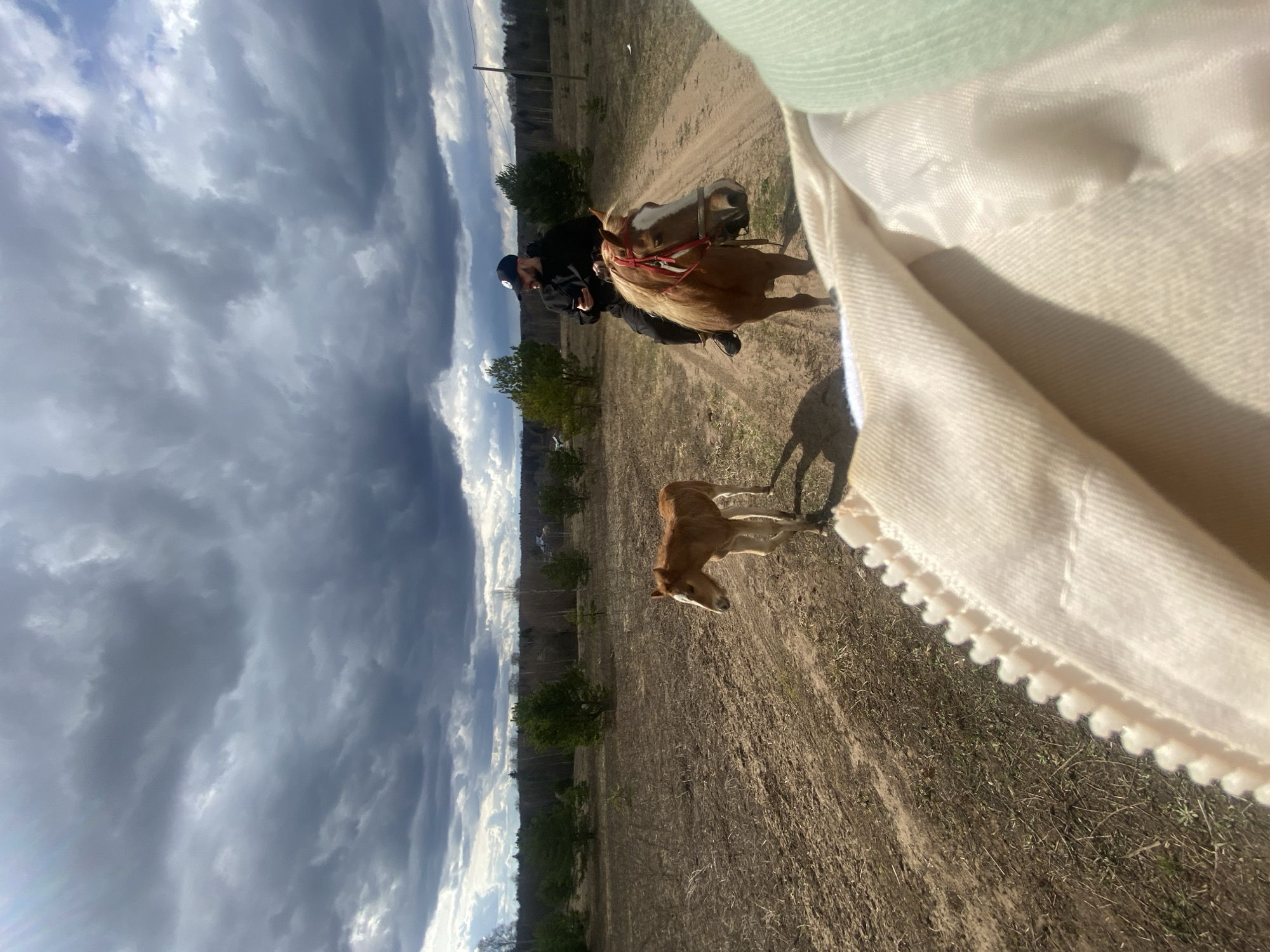The image depicts a landscape scene likely in a rural or semi-rural area, potentially Zhigalki, Russia. The sky is filled with dramatic, heavy clouds, suggesting possible inclement weather. The ground is uneven with dry vegetation. A man is riding a horse on a path, while a younger horse is running alongside. The image appears to be taken from a low angle, possibly by someone standing on the ground. Part of a light-colored garment is prominently in the right side of the foreground.