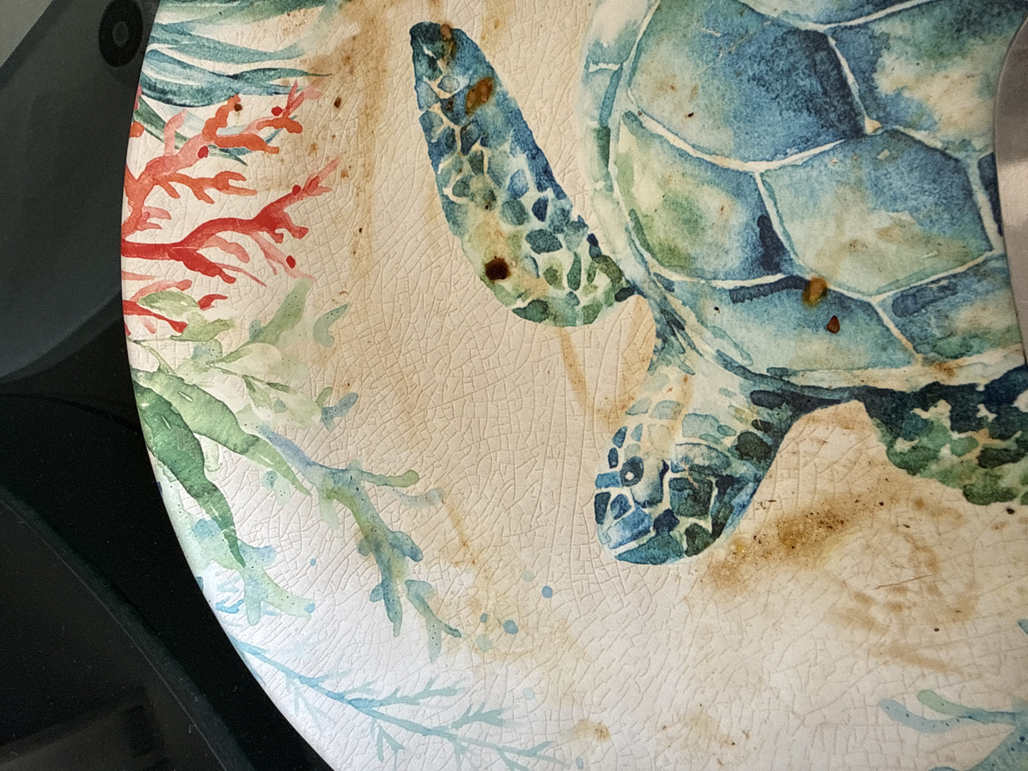 The image shows a portion of a decorative plate with a watercolor-style depiction of a sea turtle and coral. The plate has a cracked or aged appearance. The turtle is primarily blue and green, with intricate patterns on its shell and flippers. Red and green coral are also visible on the plate. The plate sits on a black surface, potentially a table or countertop. The overall composition is close-up, focusing on the details of the design. There is no indication that the image was taken in San Bernardino Tlaxcalancingo, Mexico. There are no people, actions, or interactions visible in the frame.