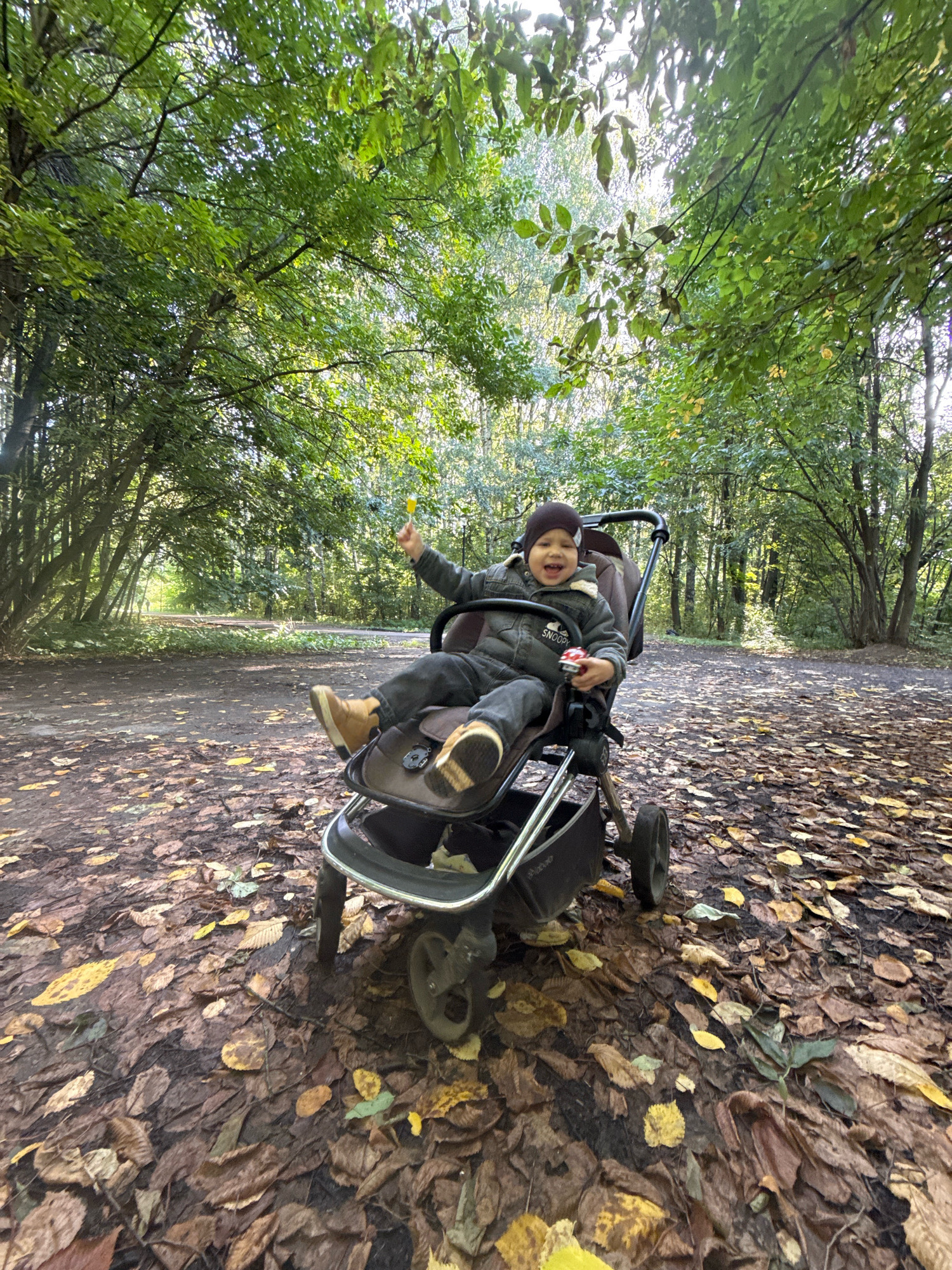 In Rusanovo, Russia, a child sits in a stroller on a path covered with fallen leaves. The child, wearing a dark jacket and a beanie, is smiling and holding a yellow object in their right hand. A small red toy car is in their left hand. The stroller is dark gray and brown, with visible wheels and a handle. The background is a forest with tall trees and sunlight filtering through the leaves, creating a dappled light effect on the ground. The path appears to be made of dirt and gravel.