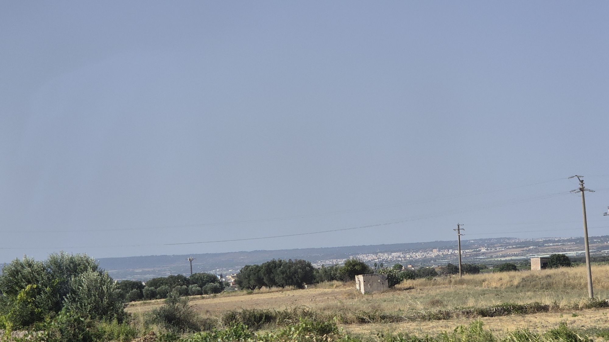 The image captures a wide, rural landscape with a clear, pale blue sky dominating the upper portion. In the foreground, dry, golden-brown grass and sparse vegetation cover a field. A cluster of olive trees with dense, grey-green foliage is visible on the left side of the frame, with some lighter green vines or plants in the very bottom.
Towards the middle ground, a small, dilapidated, rectangular building with light-colored walls stands in a field of dry grass. Behind this, a line of trees, some appearing as dark green foliage and others as sparser, lighter green vegetation, stretches across the horizon. Beyond the trees, a town or city with white buildings and a few scattered structures is visible in the distance. The town appears to be situated on a slightly elevated terrain.
Two utility poles with electrical wires are prominent features. The one on the right is taller and closer to the viewer, with a more complex structure at the top. Another, smaller pole is visible further to the left. The horizon line is marked by the distant town and a faint, darker band that might represent further terrain or atmospheric haze. The overall impression is of a sunny day in a rural or semi-rural area. The scene is likely located in or around San Giorgio Ionico, Italy, given the characteristic Mediterranean vegetation and distant townscape.