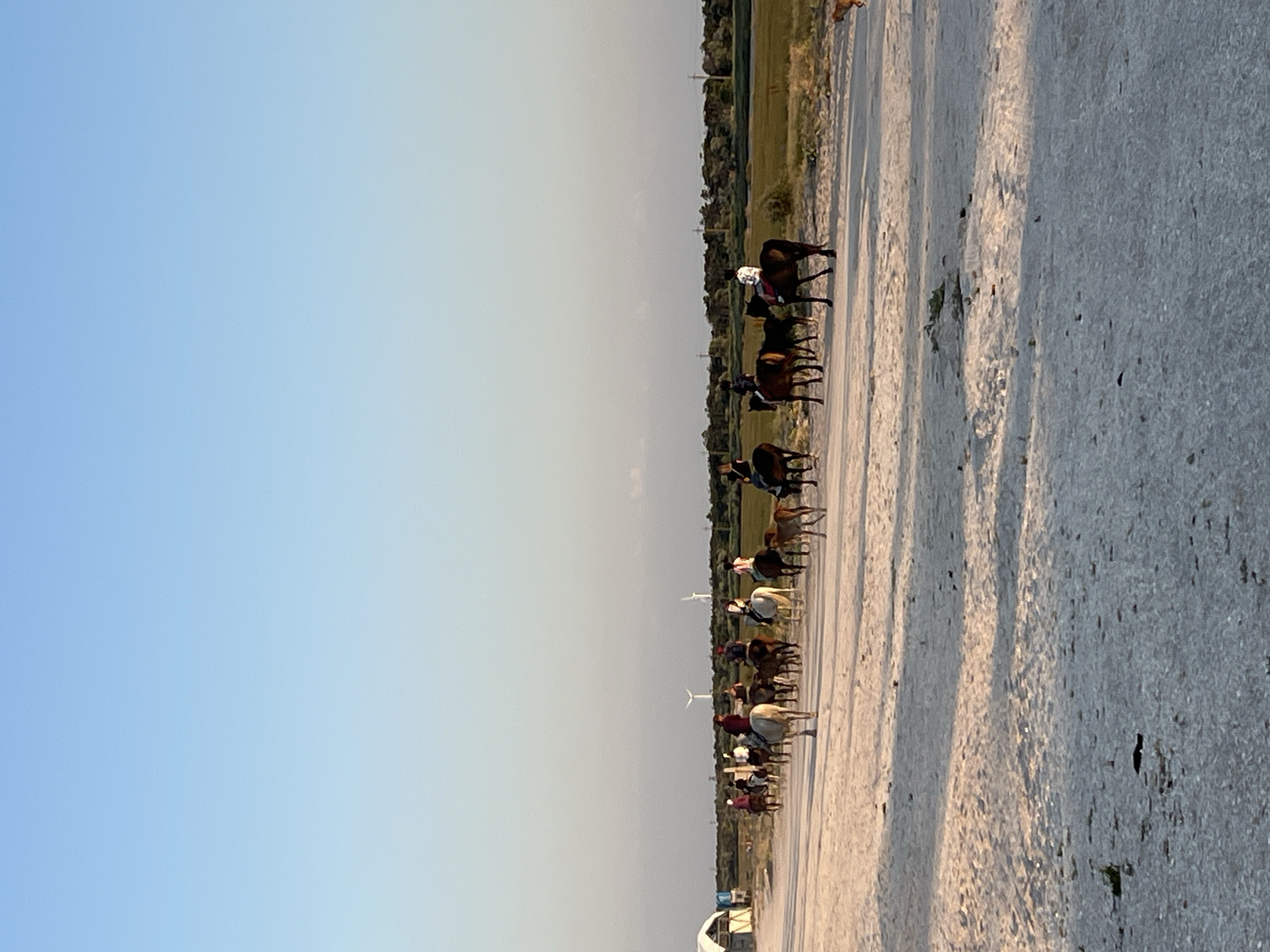 A group of people are riding horses along a dirt path. The horses are diverse in color and size, and some are accompanied by foals. The riders are of various ages and are dressed in casual clothing. In the background, there are wind turbines and a line of trees. The sky is clear and blue. The scene appears to be in a rural or coastal area. There is a structure with a white roof to the left of the image, possibly a tent or a small building. The path is covered in light-colored gravel or sand.