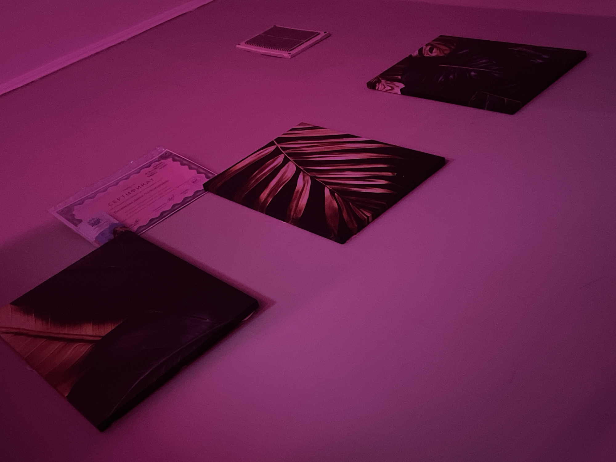 In Vyborg, Russia, a pink-lit wall features three framed art pieces and a certificate. Two of the art pieces are square canvases with dark botanical prints, positioned at an angle. The third, also a square canvas, displays a print of leaves. A certificate with Cyrillic text is also visible. The wall has a ventilation grate.