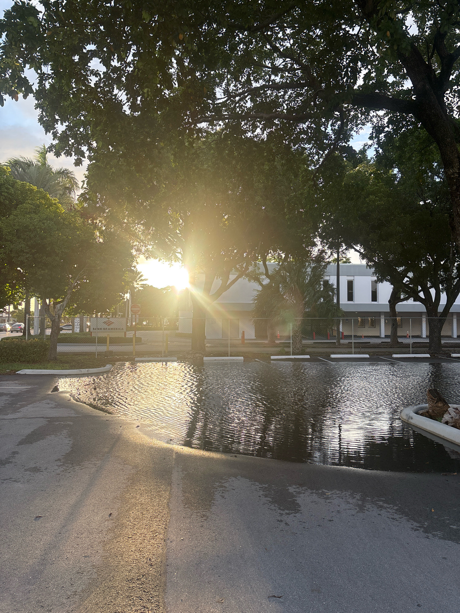The image depicts a flooded parking lot in front of a Bank of America building located in Hallandale Beach, United States of America. The sun is low in the sky, casting a bright glare and long shadows across the scene. The water in the parking lot reflects the trees and the building, creating rippling patterns. Several cars are visible on the road in the background. Orange traffic cones are placed around the flooded area. The overall scene suggests a recent heavy rainfall or storm.