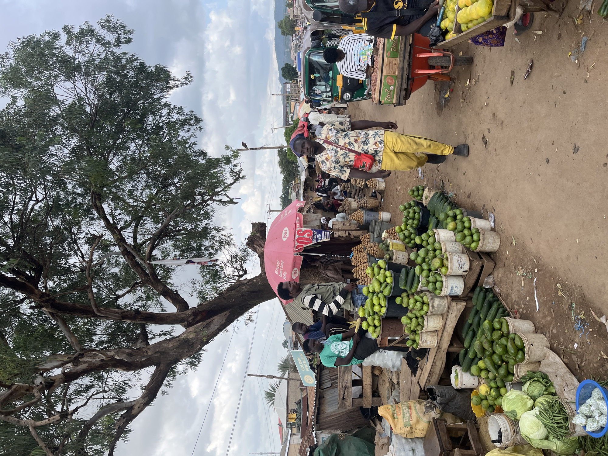 The image depicts a bustling outdoor market in Rafin Par, Nigeria. The scene is dominated by an assortment of fresh produce, primarily avocados, cucumbers, and cabbages, displayed in buckets, crates, and on wooden stalls. Several individuals are present, some appearing to be vendors and others shoppers. One man in a floral shirt and yellow trousers is walking through the market, carrying a red crossbody bag. Another man in a striped shirt is seated behind a stall laden with fruit. In the background, a pink umbrella shades a vendor, and several auto-rickshaws are parked along the dusty road. The environment is characterized by a large, mature tree with extensive branches providing some shade, corrugated metal structures, and a cloudy sky. The ground is unpaved, indicating a typical market setting.
