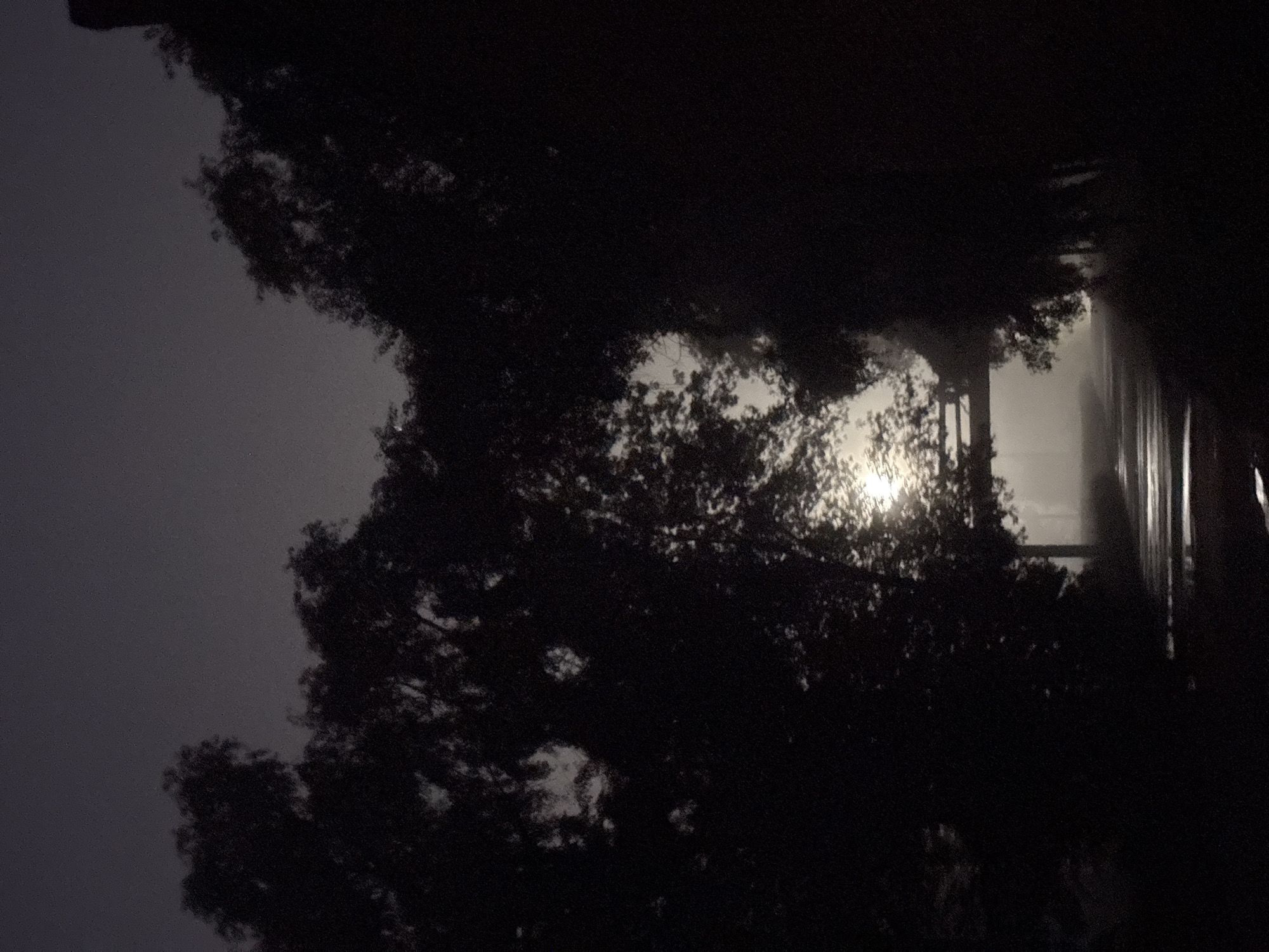 A nocturnal, low-light photograph captures a misty, atmospheric scene of a road or pathway bordered by silhouetted trees. The setting appears to be on the outskirts of Homyel, Belarus, potentially near a forested area or park. A bright, diffused light source, possibly the moon or a distant streetlamp, illuminates the misty air and reflects on a wet surface, suggesting recent rain. A low bridge or structure is visible in the mid-ground, partially obscured by trees. The overall impression is one of quiet solitude and ethereal beauty, with the darkness and mist creating a sense of mystery.