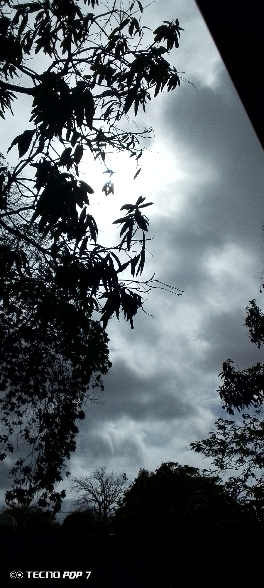A low-angle, silhouette shot shows branches and leaves of trees against a cloudy sky. The sun is visible as a bright, hazy orb behind the foliage, partially obscured by dramatic, dark clouds. The bottom left corner of the image displays a watermark that reads "TECNO POP 7". The scene appears to be an outdoor environment.
