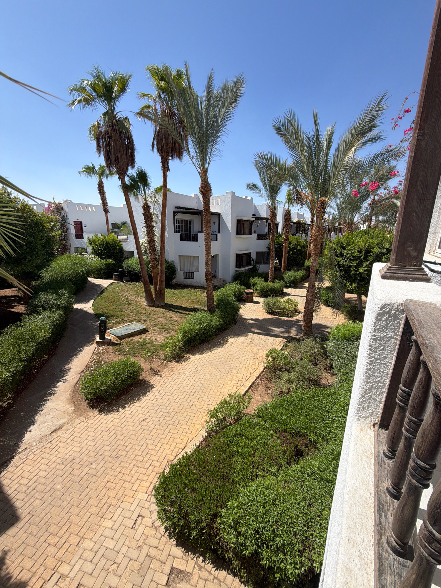 The image depicts a sun-drenched courtyard in Sharm El Sheikh, Egypt, featuring a resort-style aesthetic. The architecture is characterized by whitewashed buildings with dark-framed windows and doors, typical of Mediterranean or Middle Eastern designs. Several palm trees, varying in height and fullness, are scattered throughout the scene, their fronds reaching towards a clear blue sky. Lush green shrubbery and manicured hedges line the pathways, which are paved with light-colored brick in a herringbone pattern. In the foreground, a wooden railing and column suggest the perspective is from a balcony or terrace, adding to the resort ambiance. The overall impression is one of tranquility and tropical relaxation.