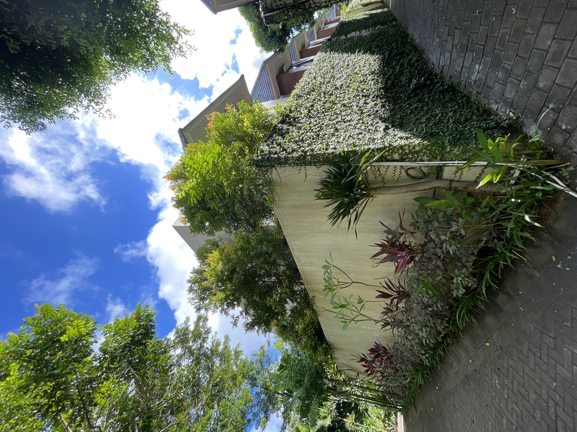 The image depicts a view looking upwards along a building exterior in Kuta Selatan, Indonesia. The structure features a light-colored wall with vegetation growing along its base and sides, including flowering plants with red and green foliage. Above the wall, a section is covered by a dense layer of green ivy. The tops of trees are visible in the lower left and upper left of the frame, reaching towards a bright blue sky with scattered clouds. A paved walkway runs adjacent to the wall, constructed from dark gray rectangular pavers. The building itself appears to be multi-storied, with sections of the roof visible above the wall.