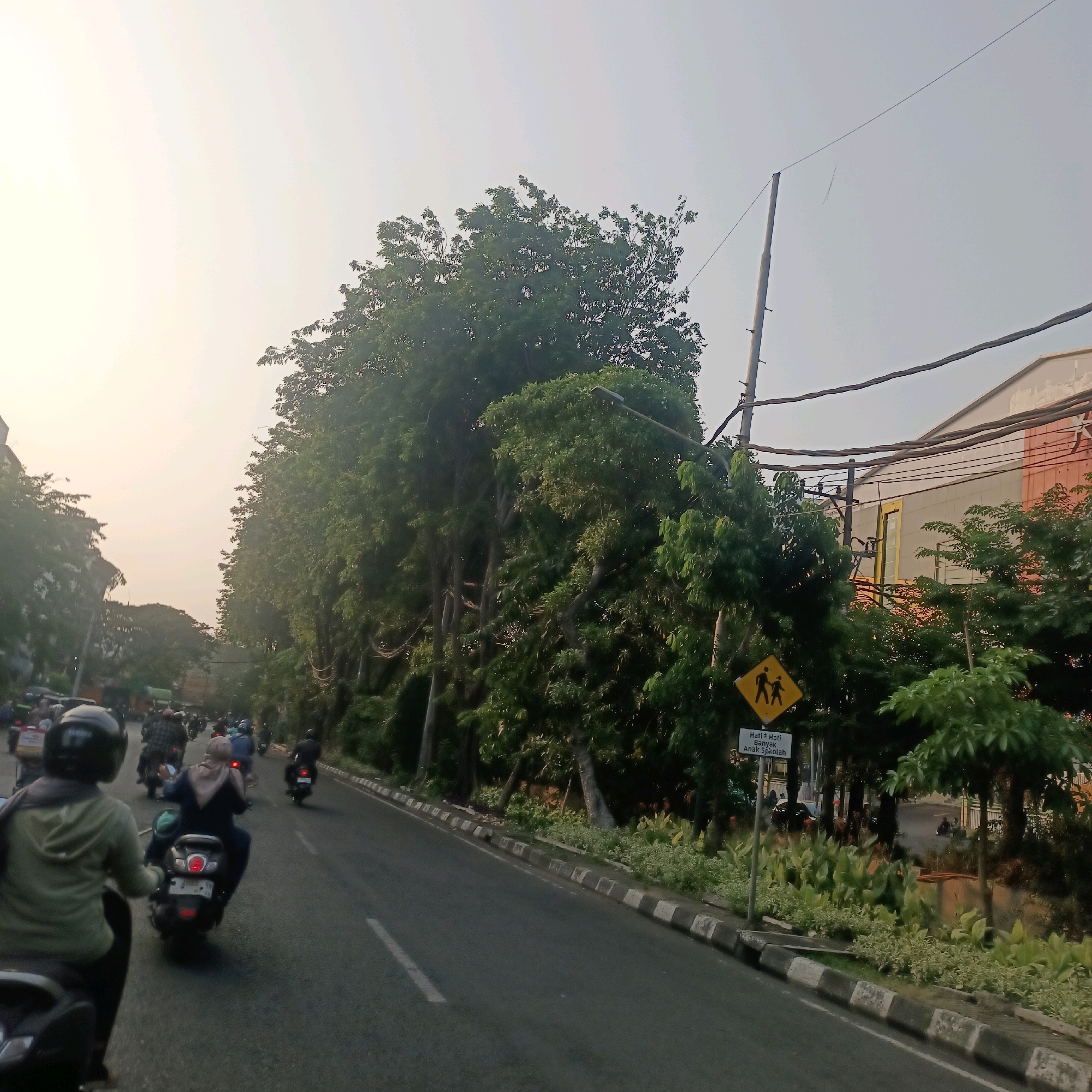 This image captures a street scene in Surabaya, Indonesia, likely during the late afternoon or early morning, indicated by the soft, diffused sunlight. A procession of motorcycles is traveling down a paved road lined with lush green trees. The road has distinct white lane markings and a concrete curb with alternating grey and white sections. On the right side of the road, a yellow diamond-shaped pedestrian crossing sign featuring two figures is visible, accompanied by a white rectangular sign below it with text in Indonesian that reads "Hati Hati Banyak Anak Sekolah," translating to "Be Careful, Many School Children." Beyond the trees, a building with a light-colored facade and visible electrical wires can be seen. The sky is a pale, hazy yellow, suggesting either sunrise or sunset. Several individuals are riding on the motorcycles, some wearing helmets and casual clothing. The overall atmosphere appears to be one of daily commuting or local transit within the city.