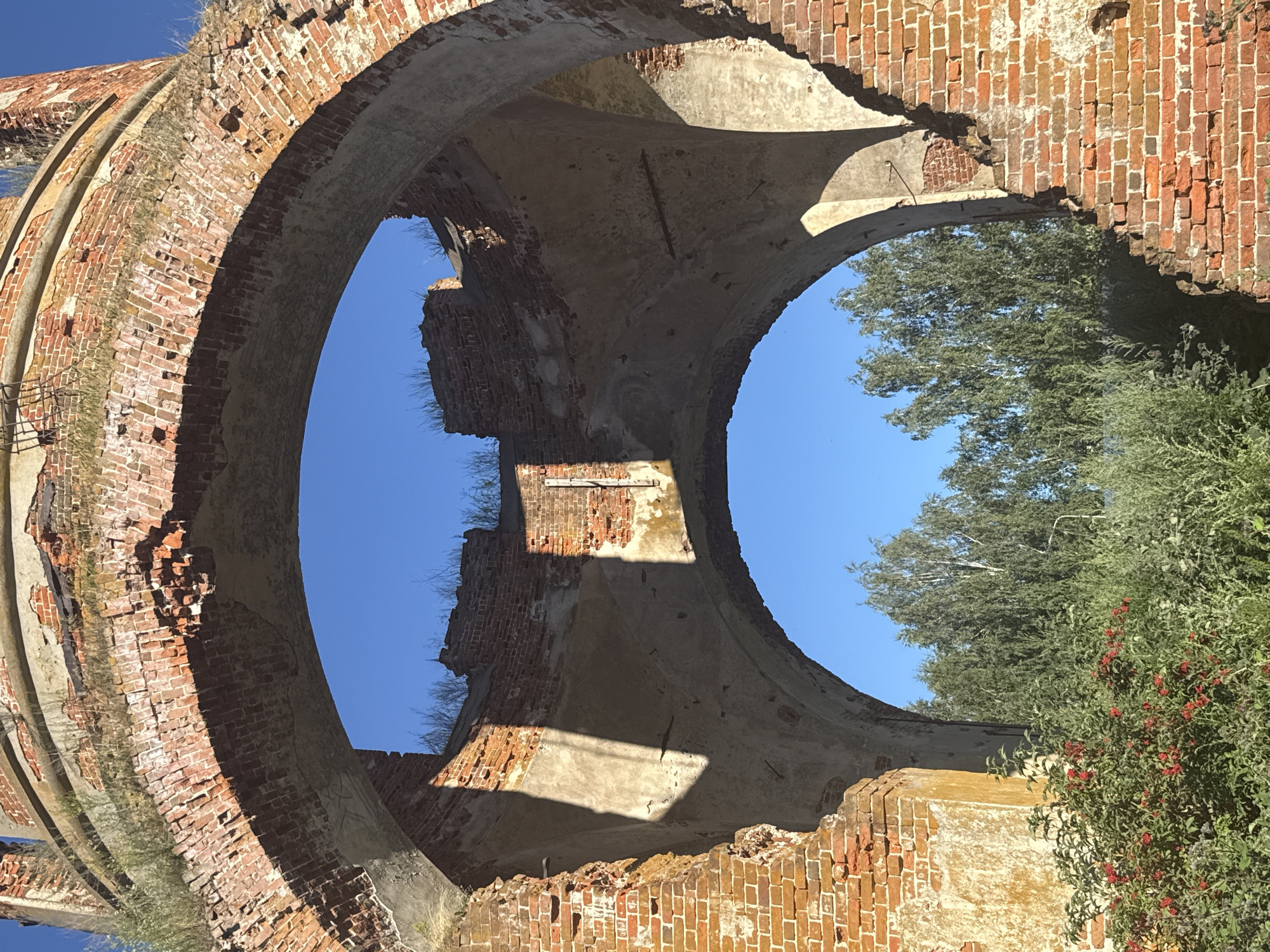 The image shows the interior of a partially ruined brick structure, possibly a church or tower, with a large arched opening. The bricks are weathered and in disrepair, with grass and vegetation growing on top. Through the arch, a clear blue sky is visible, along with the tops of green trees and some smaller bushes with red berries in the foreground. Sunlight casts shadows on the interior walls. The scene appears to be outdoors in a natural setting. The location is Unknown, Unknown.