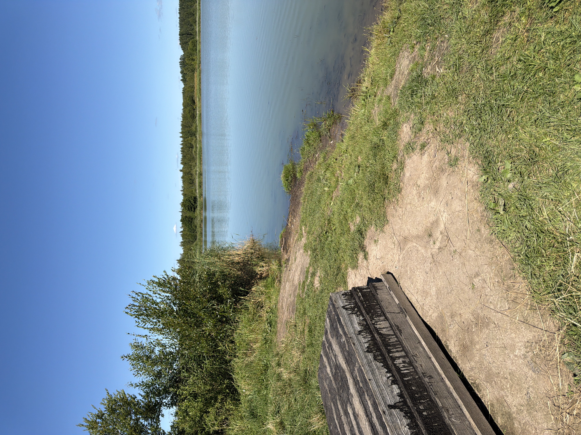 An outdoor, ground-level, eye-level, medium shot captures a serene landscape scene under a clear blue sky. In the foreground, a stack of weathered wooden planks rests on a sandy patch of ground, partially covered by green grass. These planks appear old and have a dark, possibly tar-like, substance dripping down their sides, creating a textured and aged appearance.
The middle ground transitions to a grassy bank dotted with reeds and bushes. This bank slopes gently towards a calm body of water, which occupies the right side of the frame. The water is a light blue-green color, reflecting the sky and the surrounding vegetation. The water's surface is mostly smooth with subtle ripples.
In the background, a dense line of green trees forms a horizon against the bright sky. The trees appear to be a mix of deciduous and coniferous species, suggesting a natural, undeveloped area. The overall atmosphere is peaceful and natural, evoking a sense of tranquility and a quiet summer day. There are no people or animals visible in the scene.