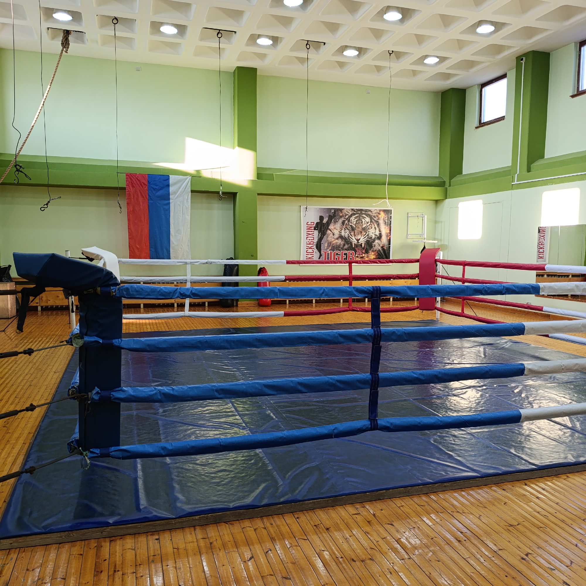 This image depicts an empty kickboxing or boxing ring within what appears to be an indoor sports hall or gym. The ring occupies the central foreground and midground, featuring blue, red, and white ropes stretched between blue corner posts. The canvas inside the ring is a dark blue mat. The floor surrounding the ring is made of polished light brown wooden planks.
The walls of the hall are painted a light pastel green, with a darker green trim running horizontally and vertically along structural elements. The ceiling is white with a grid pattern of recessed squares, each containing a circular light fixture. Several ropes with hooks hang down from the ceiling, suggesting equipment for exercises or hanging punching bags.
In the background, against one of the light green walls, a large Russian flag (white, blue, and red horizontal stripes) is displayed vertically. To the right of the flag, further along the wall, a promotional banner for "KICKBOXING" is visible. This banner features a silhouette of a kickboxer and a snarling tiger head, with the word "TIGER" printed below. Further to the right, two rectangular windows are visible high on the wall, letting in natural light.
The scene is brightly lit by both artificial ceiling lights and natural light. There are no people present, suggesting the image captures the gym during an off-peak time or before a session. The overall atmosphere is functional and ready for training.