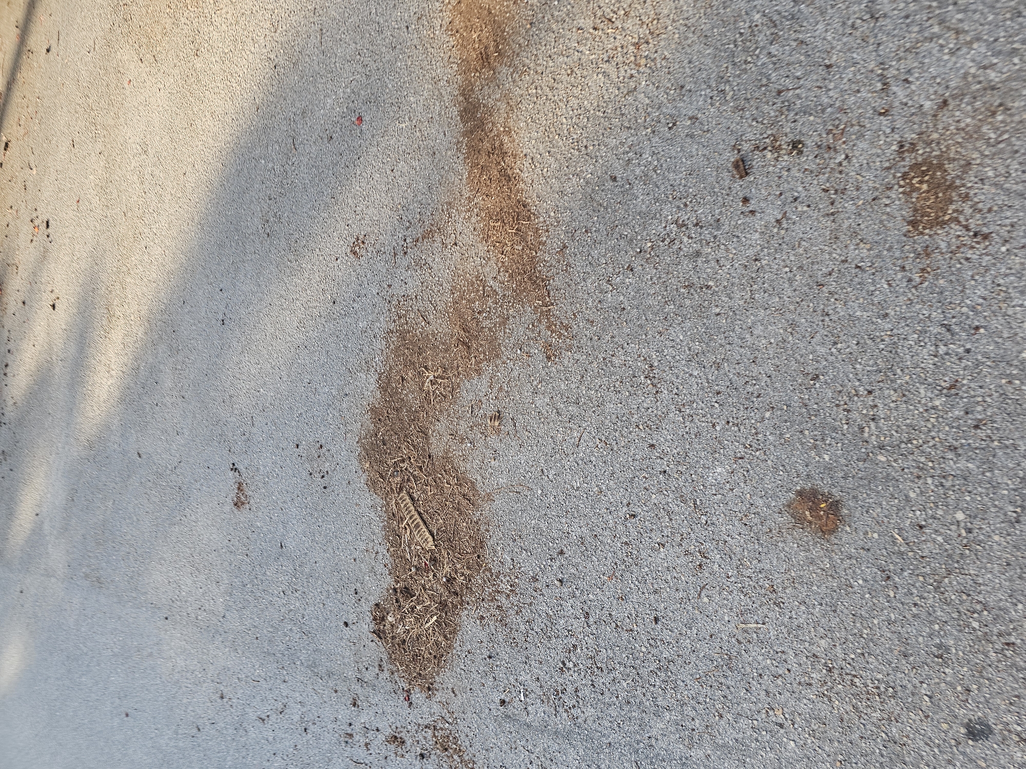 The image shows a section of asphalt pavement in Islamorada, Florida, USA. Scattered across the surface are debris and organic material, including leaves, twigs, and possibly soil. A notable feature is a larger clump of this debris, which appears to have been disturbed or spread out. The lighting suggests it is daytime, with shadows cast across the pavement, indicating the presence of overhead objects like trees or structures. The scene is static and depicts a common urban or roadside environment.