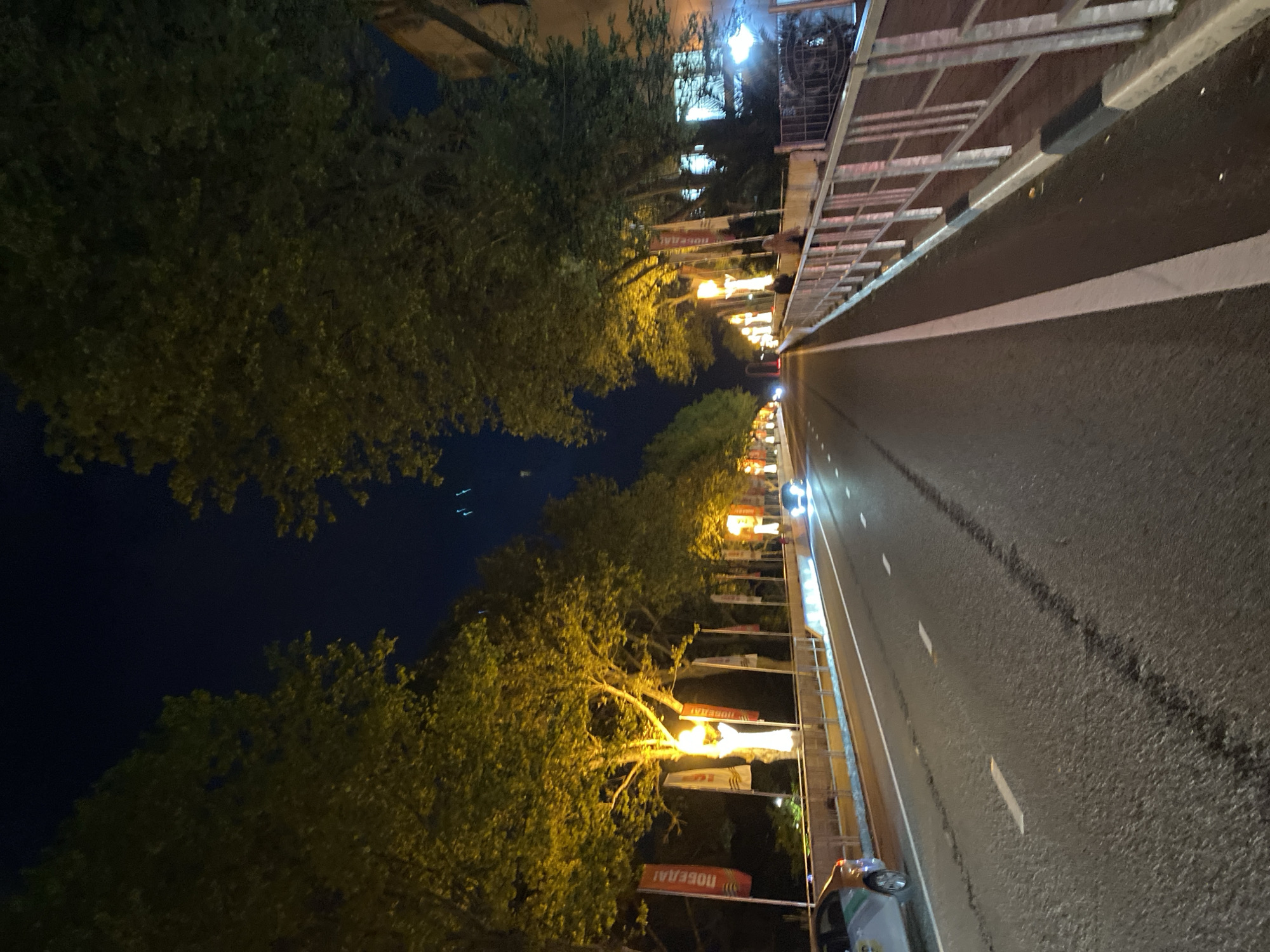 The image depicts a night scene on a road in Sochi, Russia. The road is illuminated by streetlights lining either side. Trees with green foliage are visible on both sides of the road. A car is seen driving on the road. Flags with text in Russian are mounted along the roadside. The road has lane markings. The sky above the trees is dark.