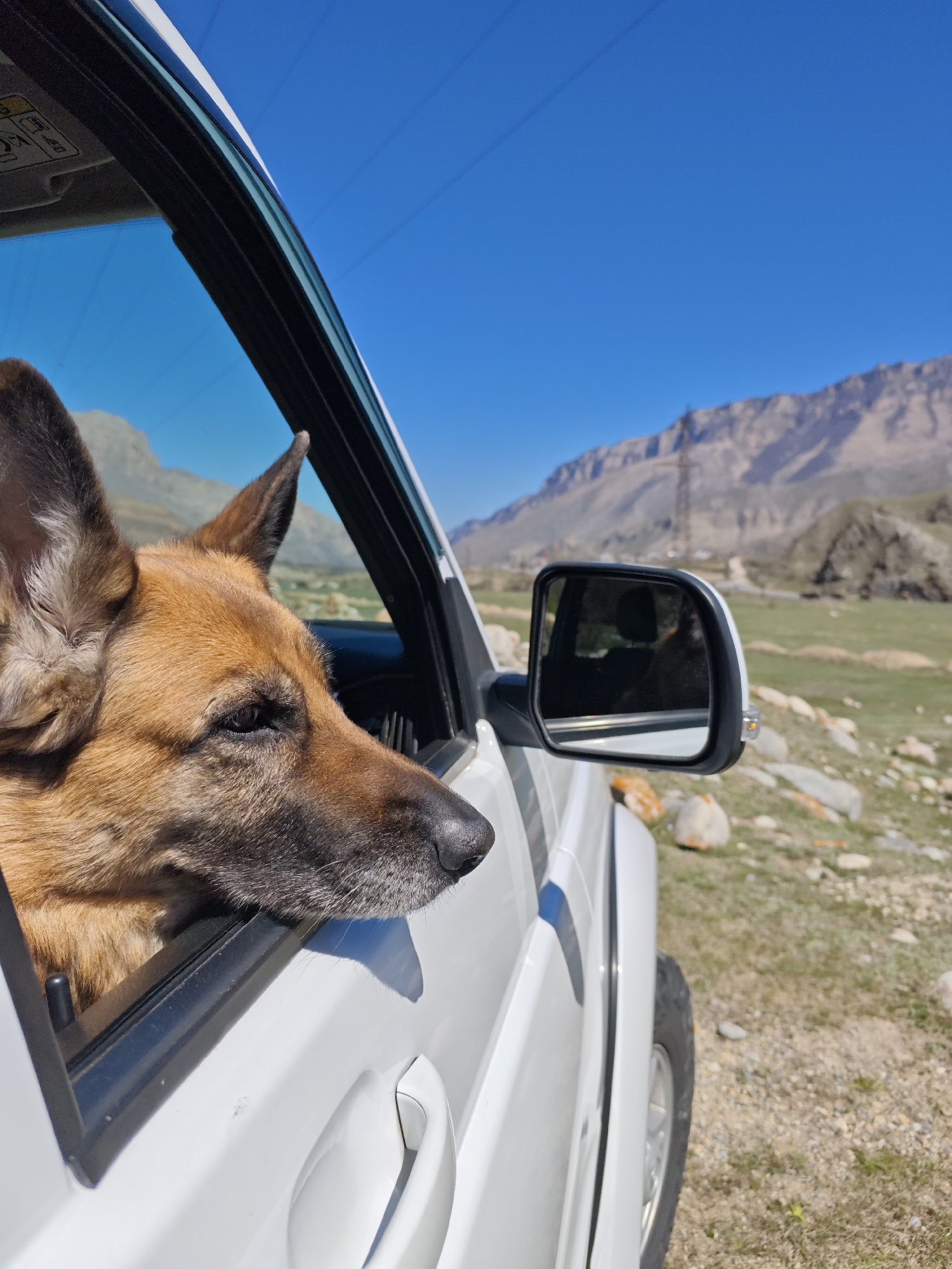A medium shot captures a brown dog with long ears, its head partially sticking out of the open window of a white car. The car is parked on a grassy area dotted with rocks, with mountains visible in the background under a clear blue sky. An electricity pylon is visible. The location is Bylym, Russia.