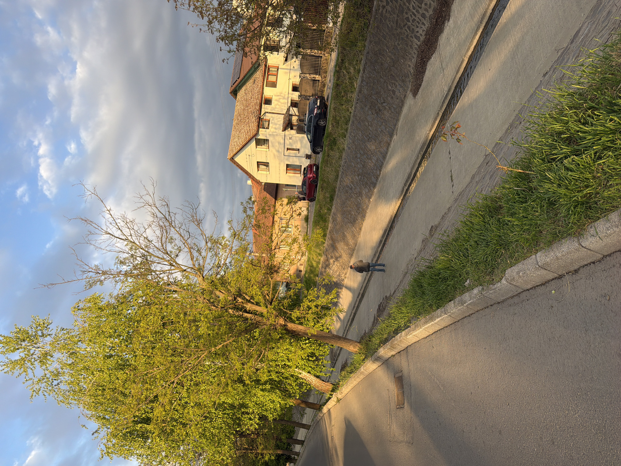 A street scene in Târgu Mureș, Romania, presents a view of a residential street with a building set back from the road. The building is pale in color, has a tiled roof, and multiple windows are visible. Cars are parked along the building's side. A tree with green foliage occupies the left side of the frame, casting shadows on the street. A person is walking along a raised sidewalk that runs parallel to the building. A ditch is adjacent to the sidewalk. The sky is partially cloudy.