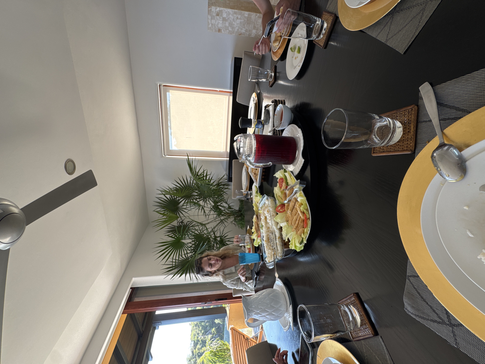 This image captures an indoor dining scene during the daytime, likely in a home or resort in Puerto Marqués, Mexico. The central focus is a long, dark rectangular dining table set for a meal.
At least two individuals are present: a woman with light-colored hair is seated on the left side of the table, looking towards the camera with a relaxed expression and a slight smile. Her arm rests on the table near a blue glass. The hand and arm of another person are visible at the far end of the table, appearing to serve or prepare food.
The table is neatly arranged with gold charger plates, white dinner plates, clear drinking glasses placed on woven brown placemats, and silver cutlery, including spoons and forks. Dishes of food are spread along the table; prominent among them are a large white platter featuring a salad with lettuce, tomatoes, and what appear to be fried fish or chicken strips, and a separate dish of white rice. A clear pitcher filled with a red beverage, possibly juice or sangria, sits near the center of the table, alongside smaller bowls that likely contain sauces or condiments.
The room has bright white walls and a high, sloping ceiling. A modern grey ceiling fan is visible in the upper left corner. A large, vibrant green palm-like plant adds a touch of nature to the interior decor. Two windows are visible: one in the background has a light-colored blind pulled down, while the window on the lower left offers a clear view of lush green trees and tropical foliage outside, reinforcing the warm, sunny location. The bright light streaming in indicates it is daytime. No visible text is present in the image.