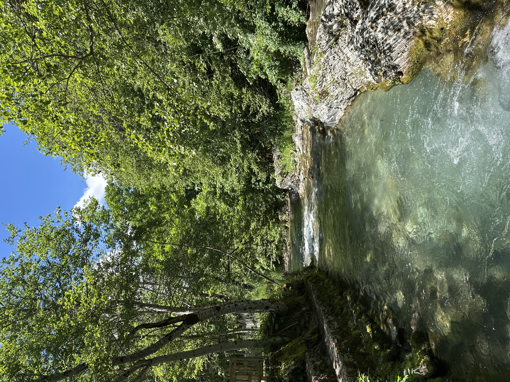 The image depicts a clear, turquoise river flowing through a lush, green forest. Sunlight filters through the dense canopy of trees, casting dappled shadows on the water and the moss-covered rocks lining the riverbank. On the left side of the river, there is a stone pathway with some wooden fencing visible in the background. On the right side, large, layered rocks protrude from the water, also adorned with moss. The river appears shallow in some areas, revealing the rocky riverbed, and deeper and more turbulent in others, indicating a gentle current. The overall scene suggests a tranquil and natural environment, likely a popular spot for outdoor recreation given the presence of the pathway and fence. The location is identified as the river in Jabuka, Montenegro. There are no people visible in the image.
