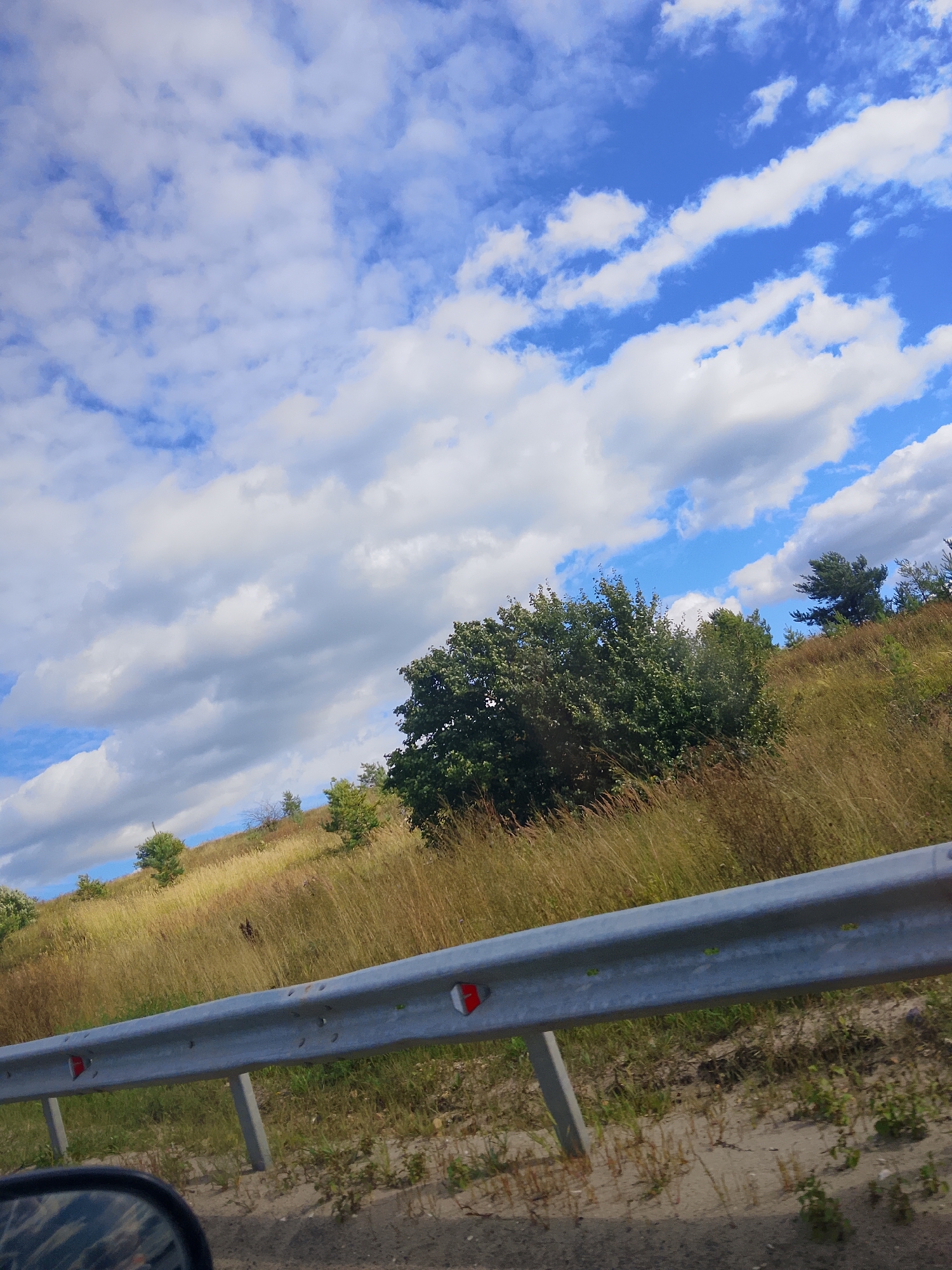 The image depicts a roadside scene with a grassy incline leading up to a cluster of trees under a partly cloudy blue sky. A silver guardrail runs horizontally across the foreground, indicating a road or highway. The vegetation on the incline is predominantly dry grass with scattered green bushes and trees. In the distance, more trees can be seen on the top of the incline. The sky is filled with white and gray clouds, interspersed with patches of bright blue. There are no people or animals visible in the frame. The overall environment suggests a natural, rural or semi-rural setting, possibly along a route outside of the city center of Verkhopol'e, Russia.