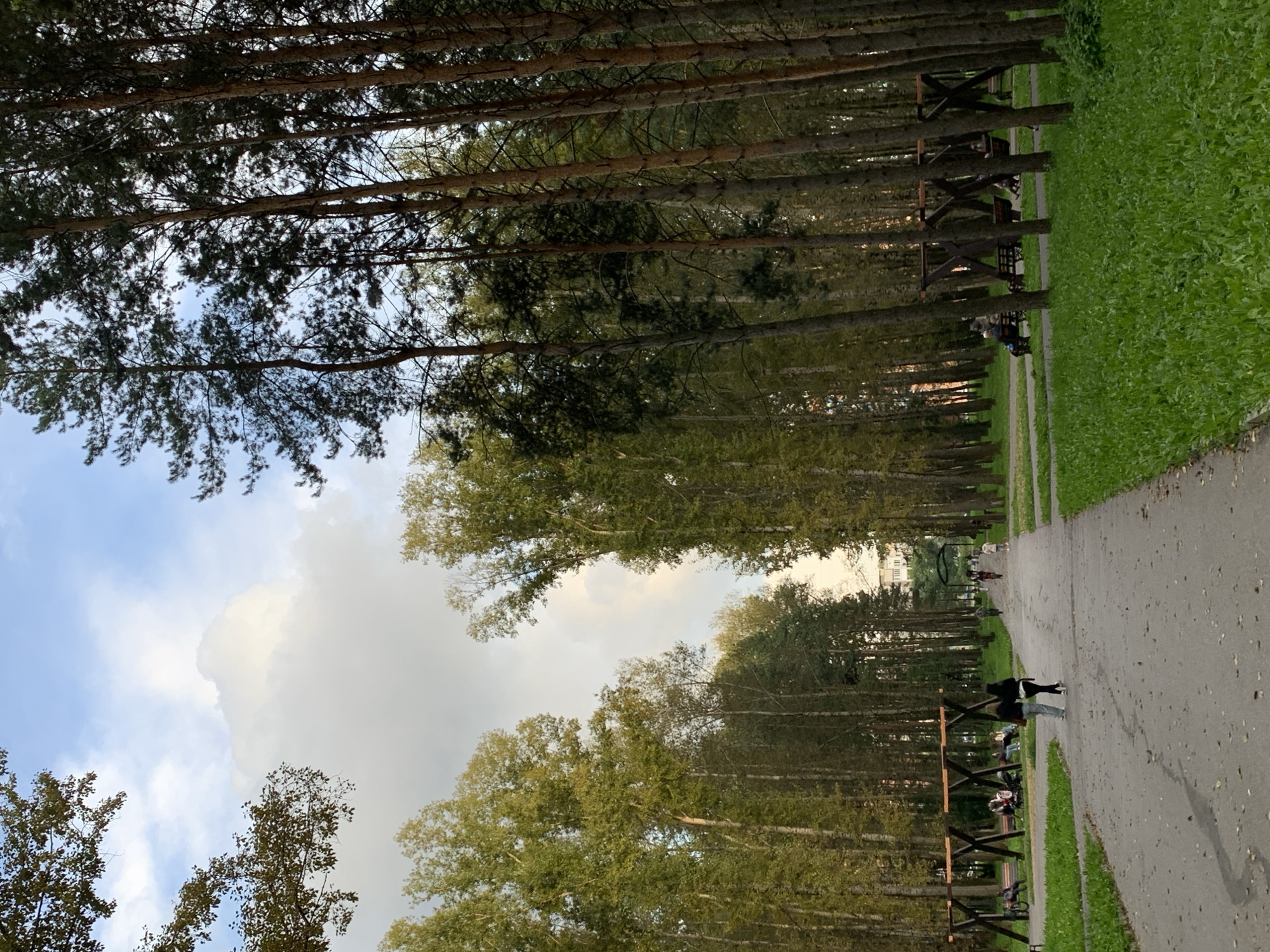 The image depicts a park in Prokopyevsk, Russia, on an overcast day with a break in the clouds showing a bright sky. A paved path winds through the park, flanked by tall trees on either side, creating a canopy effect. The trees on the left appear to be deciduous with yellowing leaves, while the trees on the right are coniferous, likely pines.
Along the path, there are several wooden benches and swing sets, some of which are occupied by people. In the foreground, two individuals, a woman in dark clothing and a person in a lighter jacket and jeans, walk away from the camera down the path. Further ahead, other park-goers are visible sitting on benches, strolling, or riding bicycles. In the distance, a building complex is partially visible above the trees. The ground is covered with green grass and scattered fallen leaves. The overall atmosphere is tranquil, suggesting a leisurely afternoon in a public park.